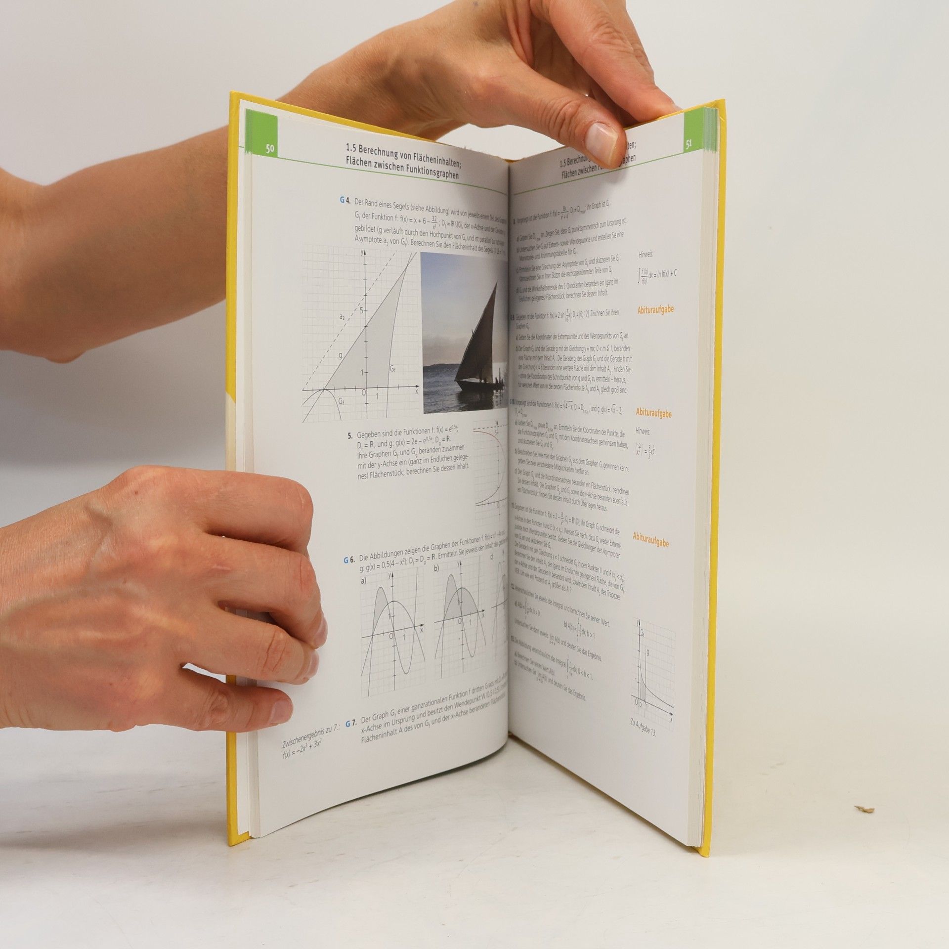 Schatz Mathematik für Gymnasien 12