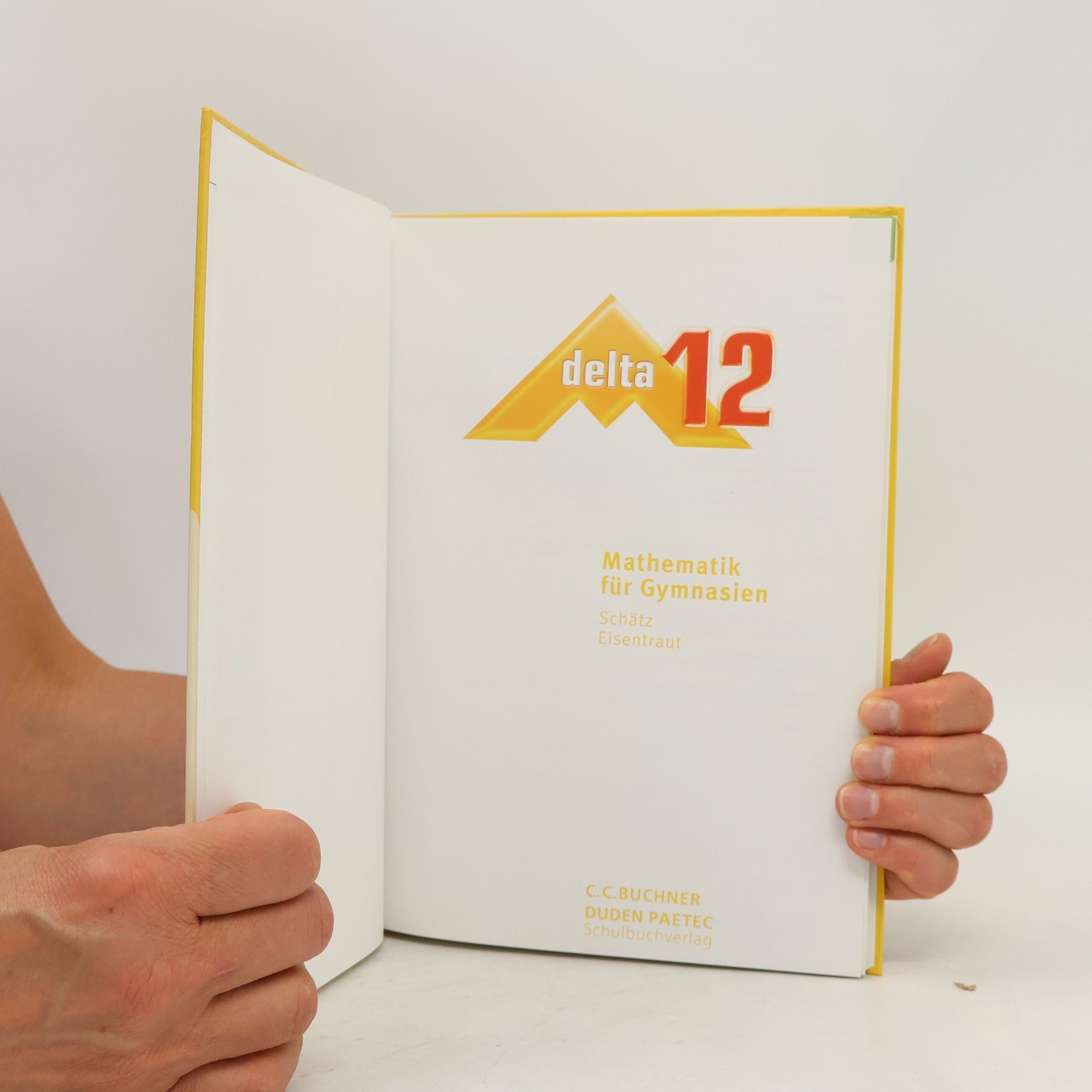Schatz Mathematik für Gymnasien 12