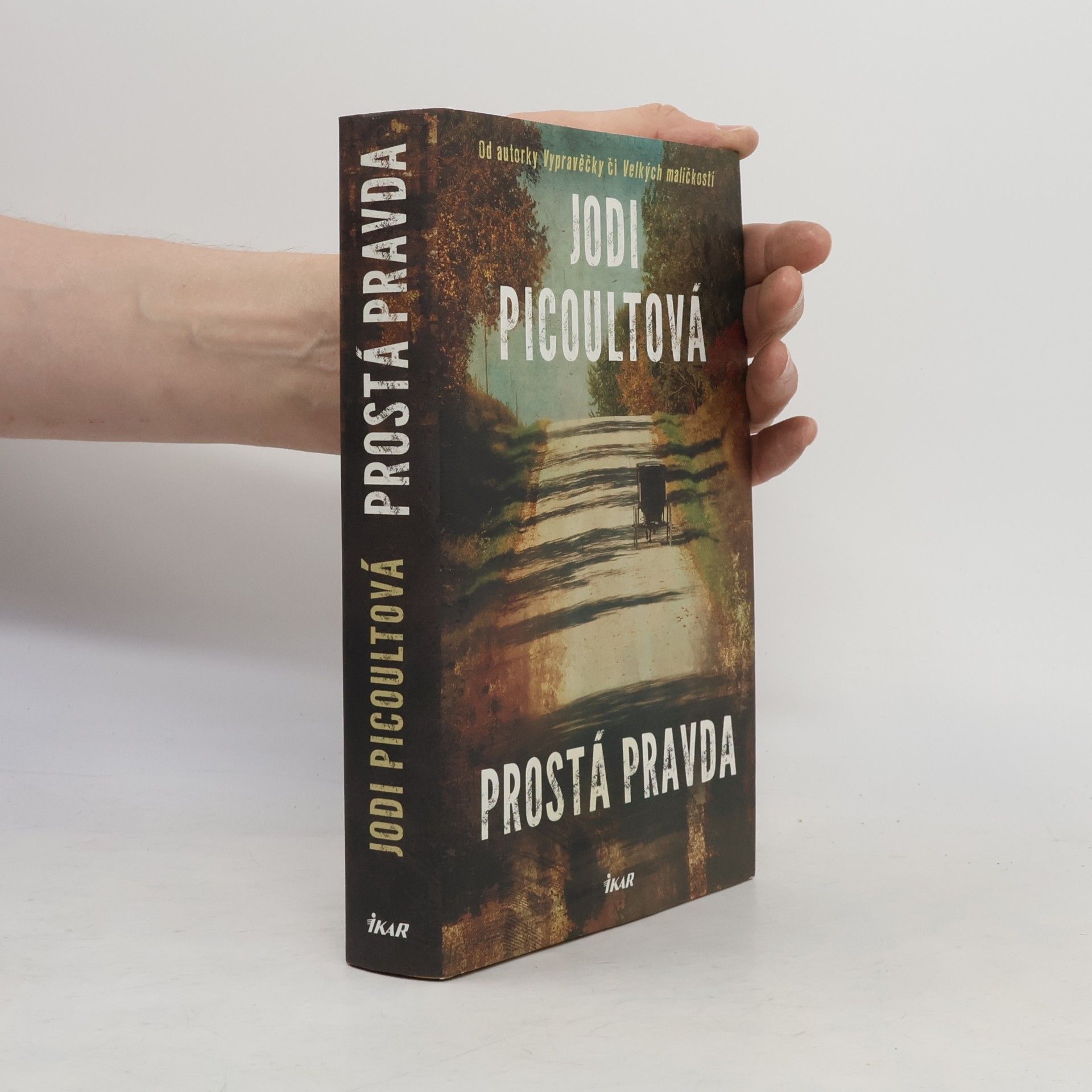 Jodi Picoult Prostá pravda