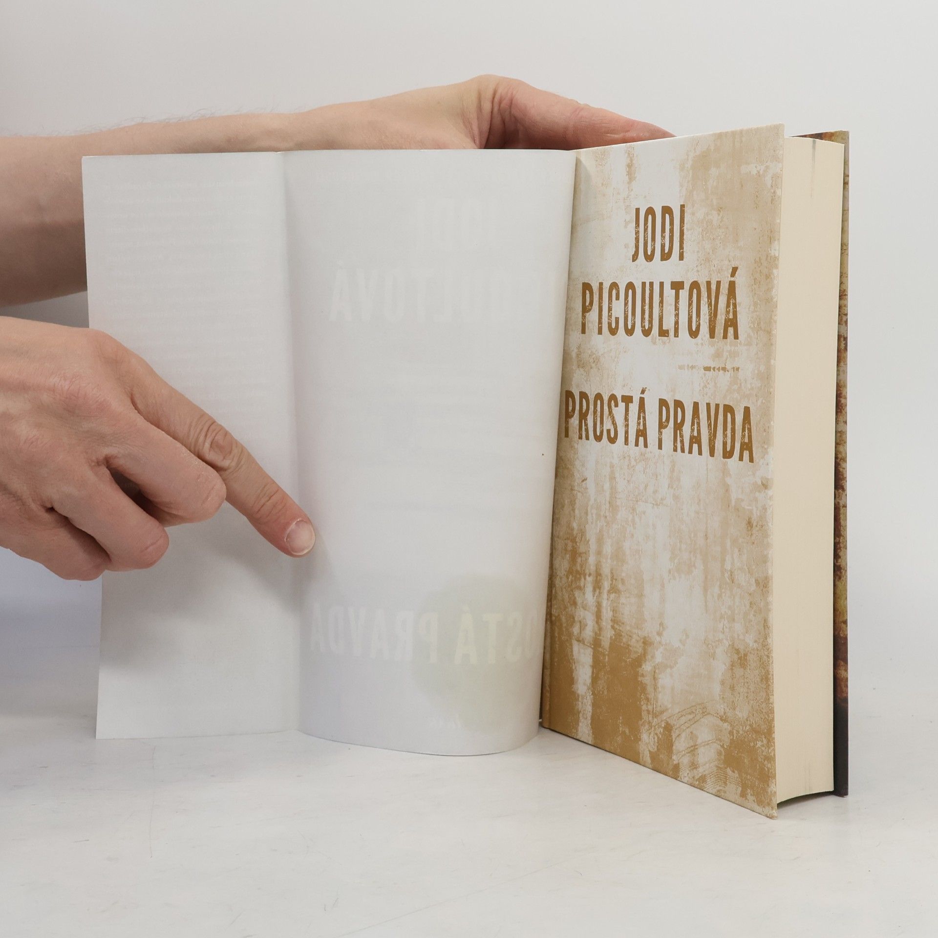 Jodi Picoult Prostá pravda