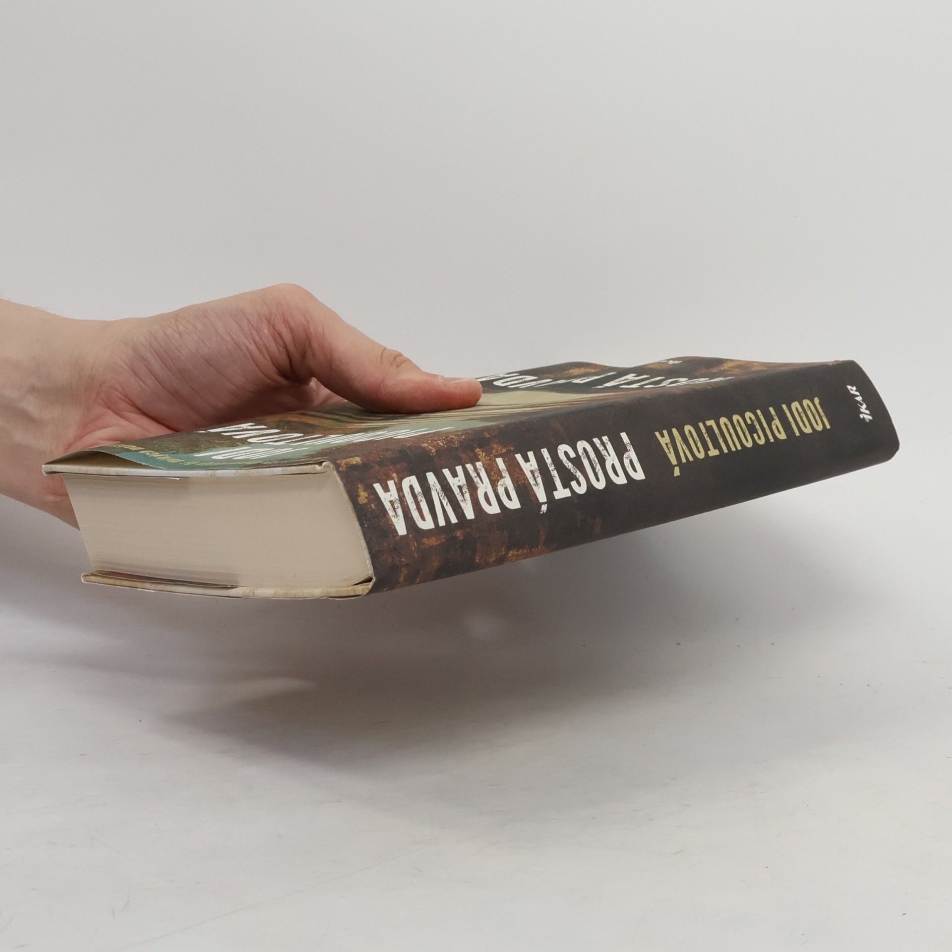 Jodi Picoult Prostá pravda