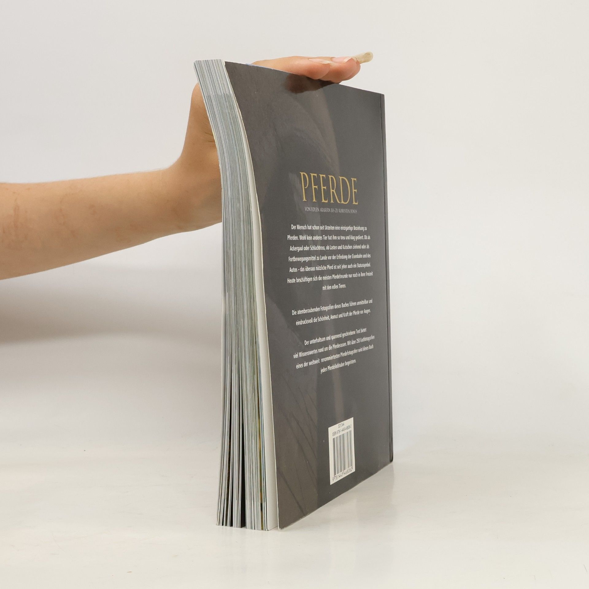 Autores varios Pferde