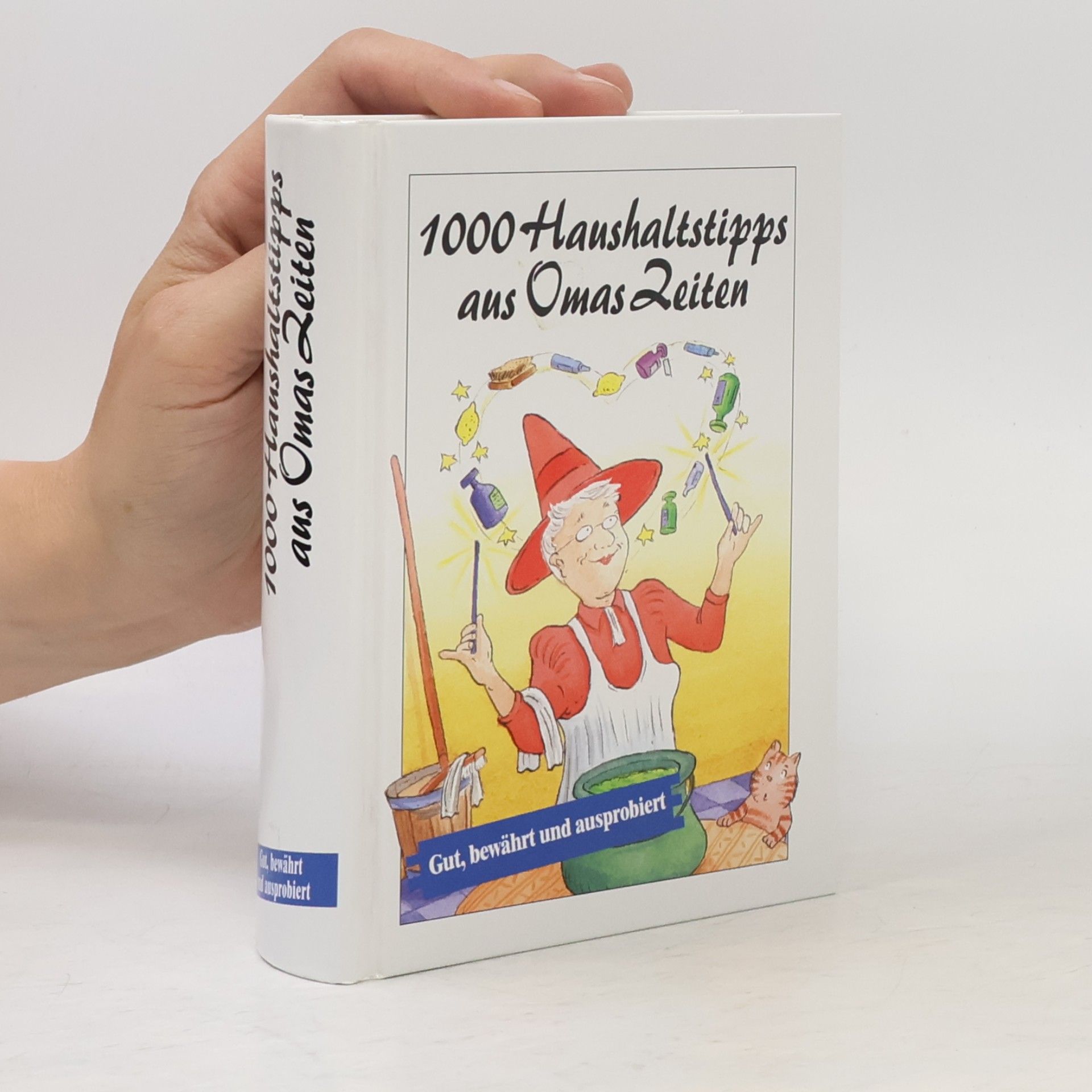 Viola Hertel 1000 Haushaltstipps aus Omas Zeiten