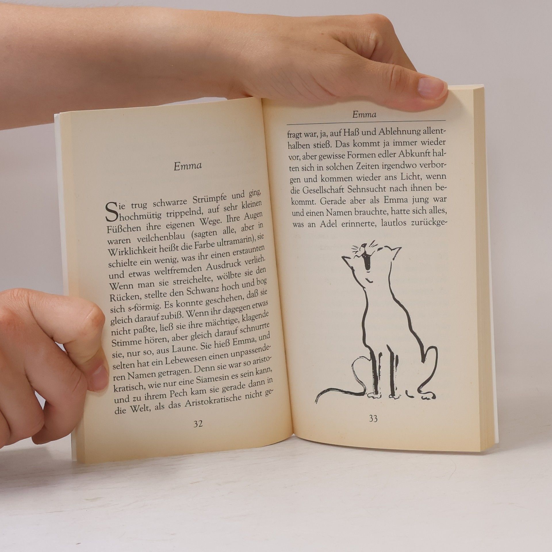 Eva Demski Eva Demskis Katzenbuch