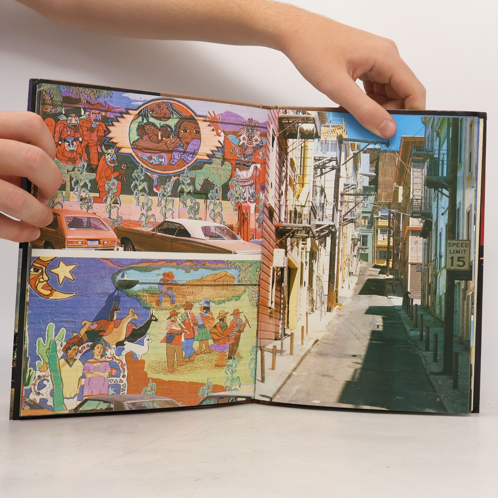 Collectif d'auteurs San Francisco. A Picture Book to Remember her by