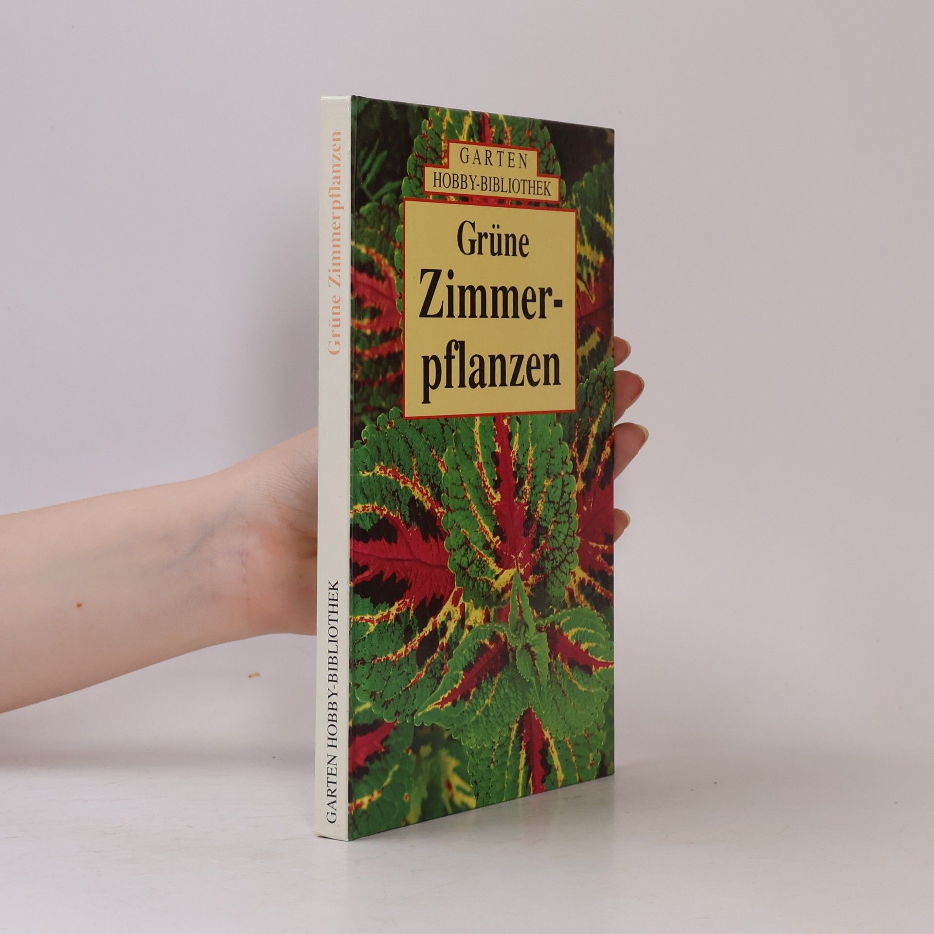 Grüne Zimmerpflanzen