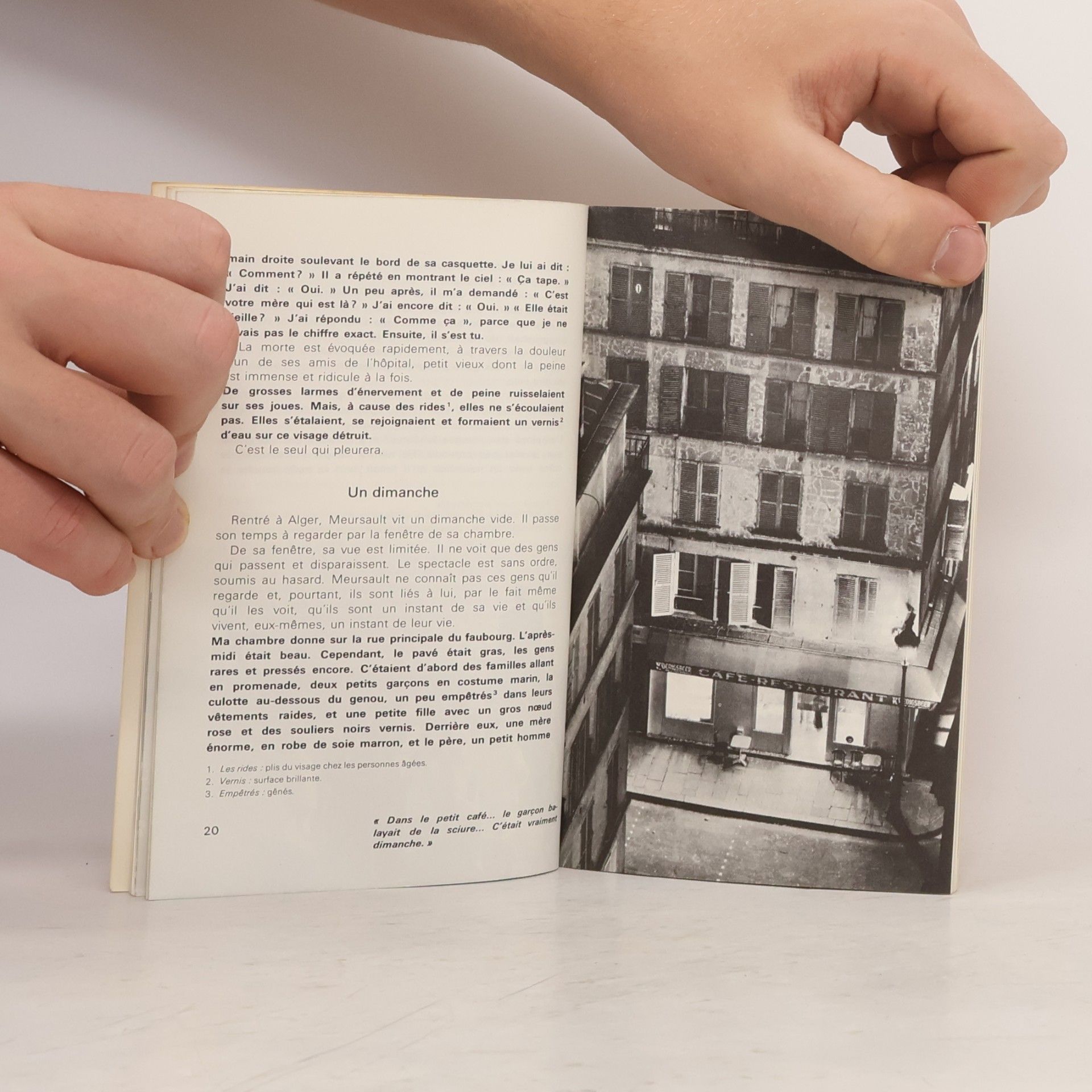 Kolektiv autorů Livre Camus