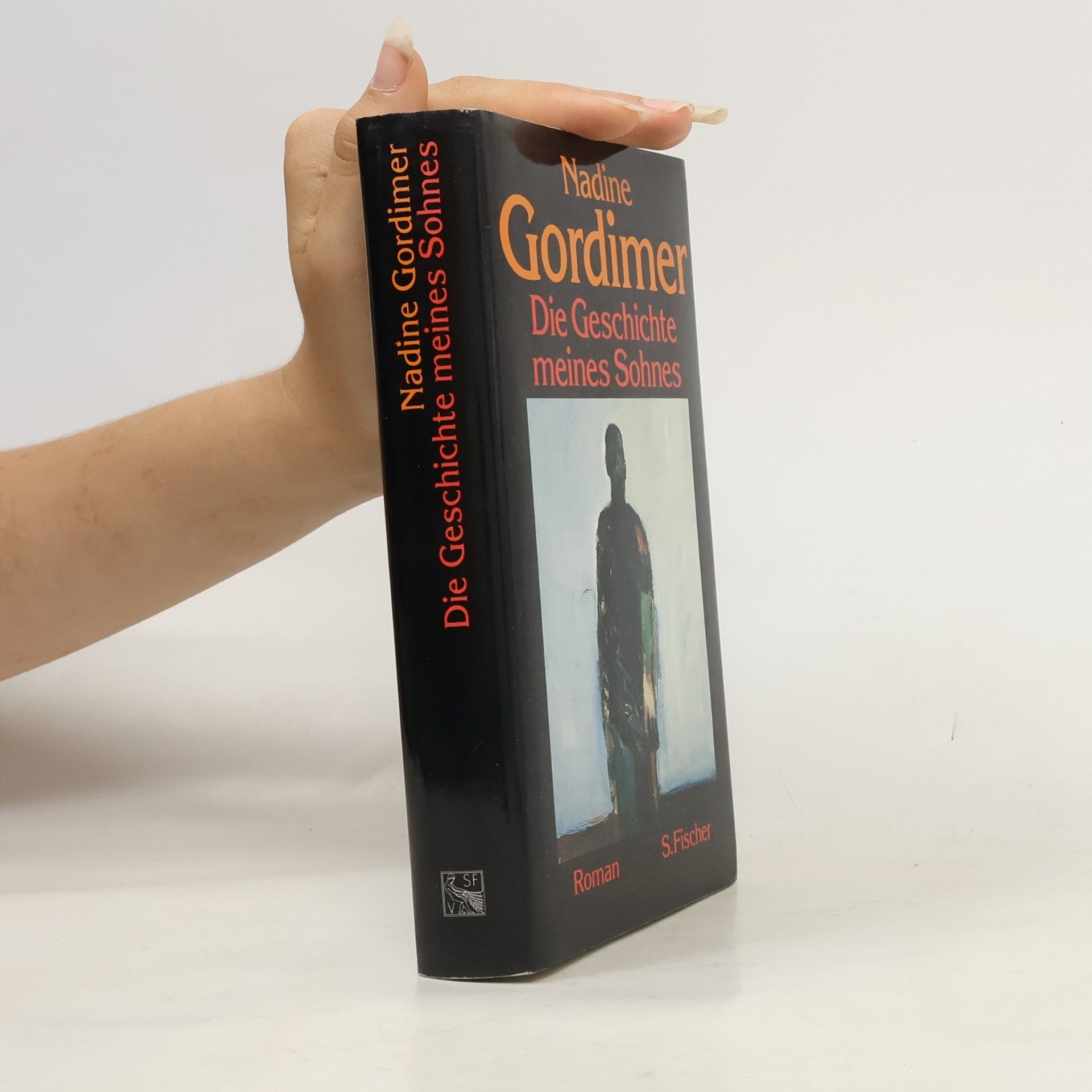 Nadine Gordimer Die Geschichte meines Sohnes