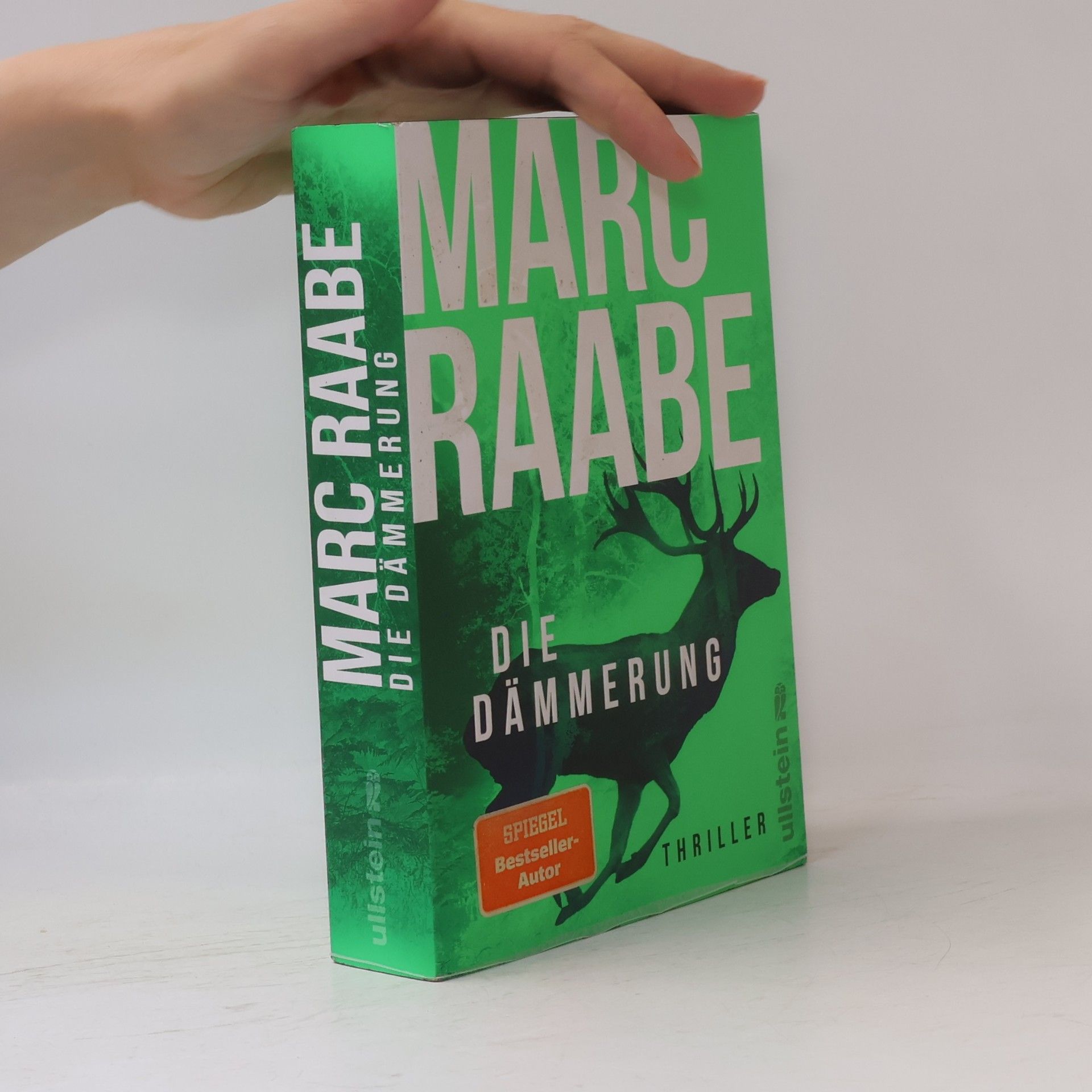 Marc Raabe Die Dämmerung