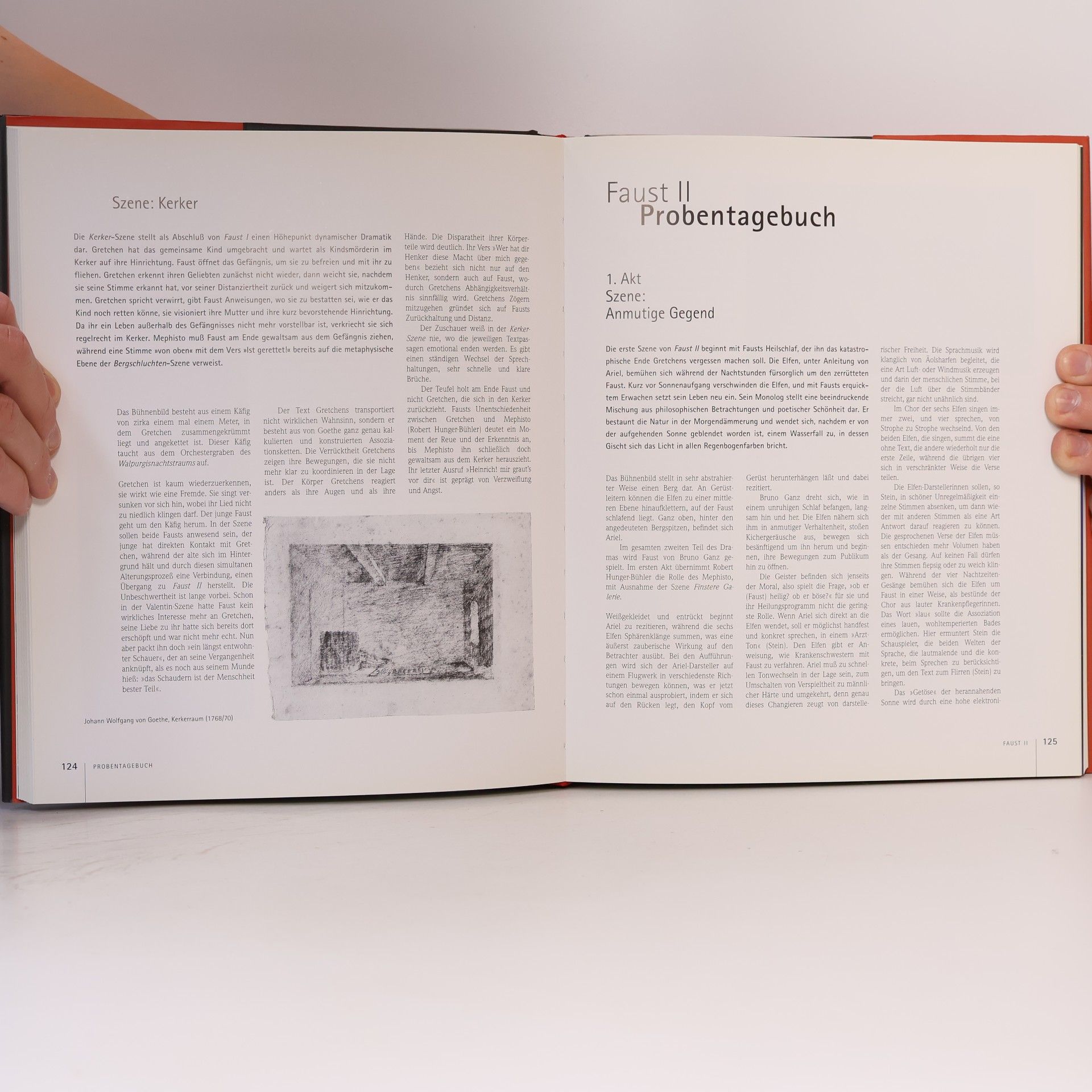 Roswitha Schieb Peter Stein inszeniert Faust von Johann Wolfgang Goethe