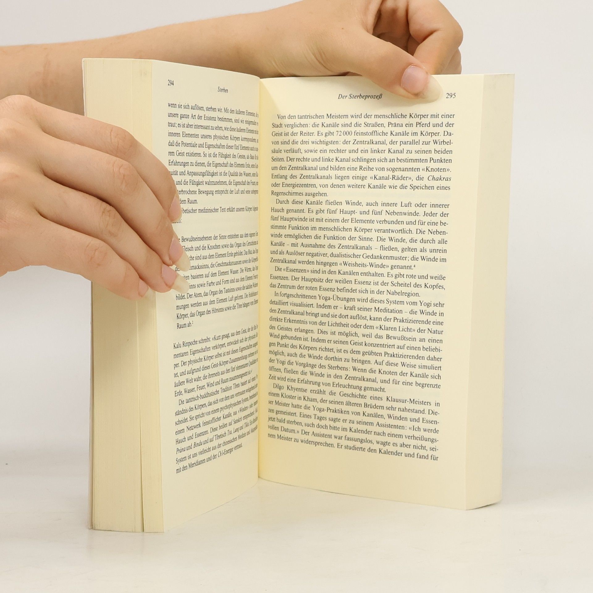 Sogyal Rinpoche Das tibetische Buch vom Leben und vom Sterben