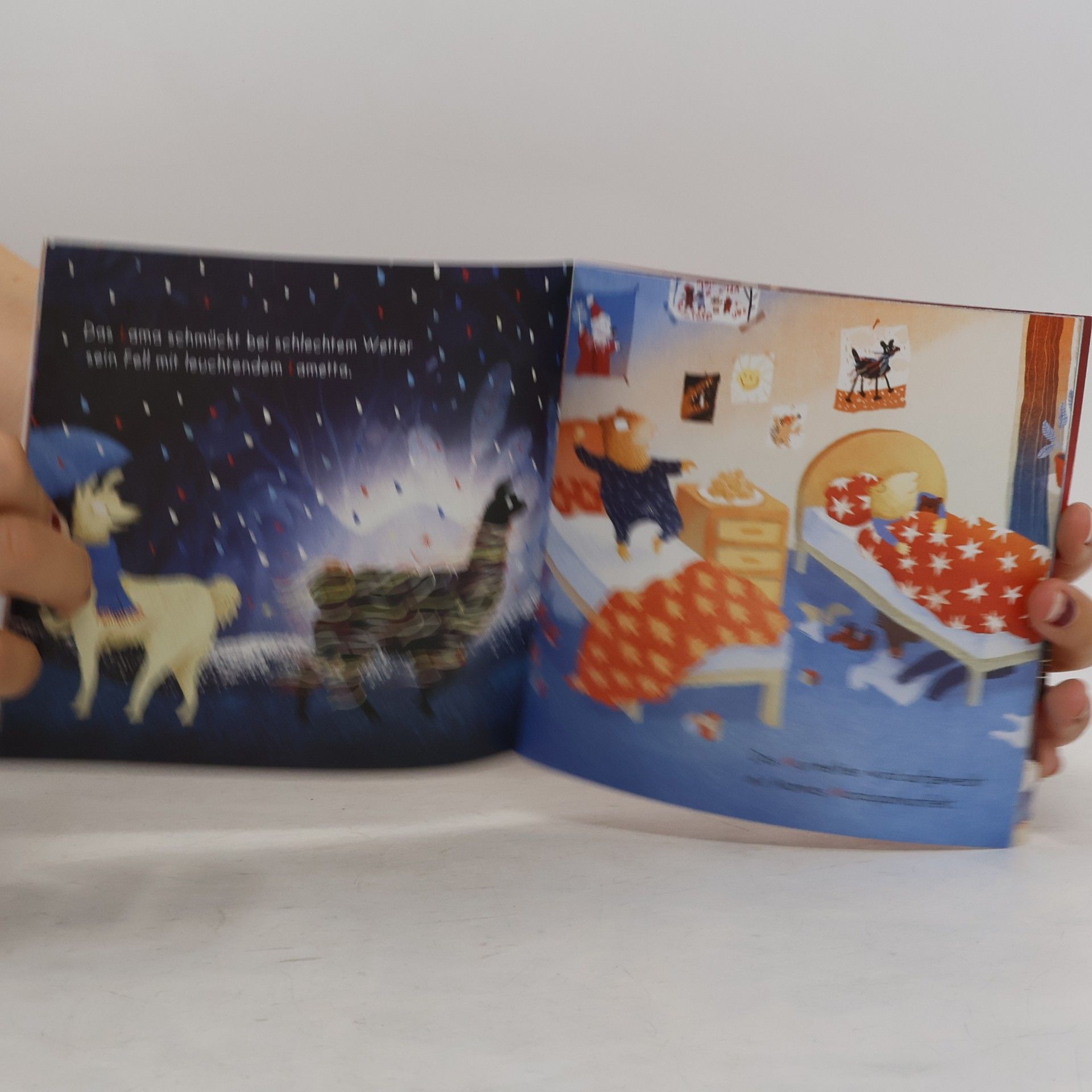 Cornelia Boese Maxi Pixi 354: Der Fuchs hat seine lieben Nöte beim Halleluja auf der Flöte