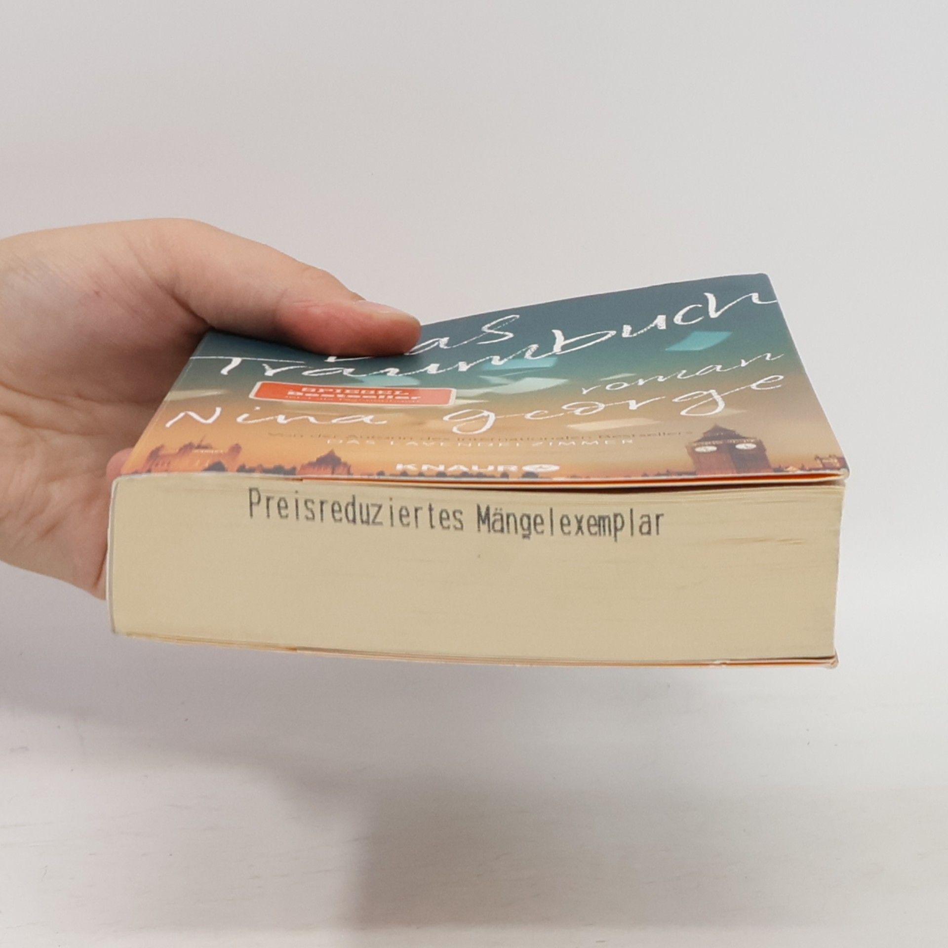 Nina George Das Traumbuch