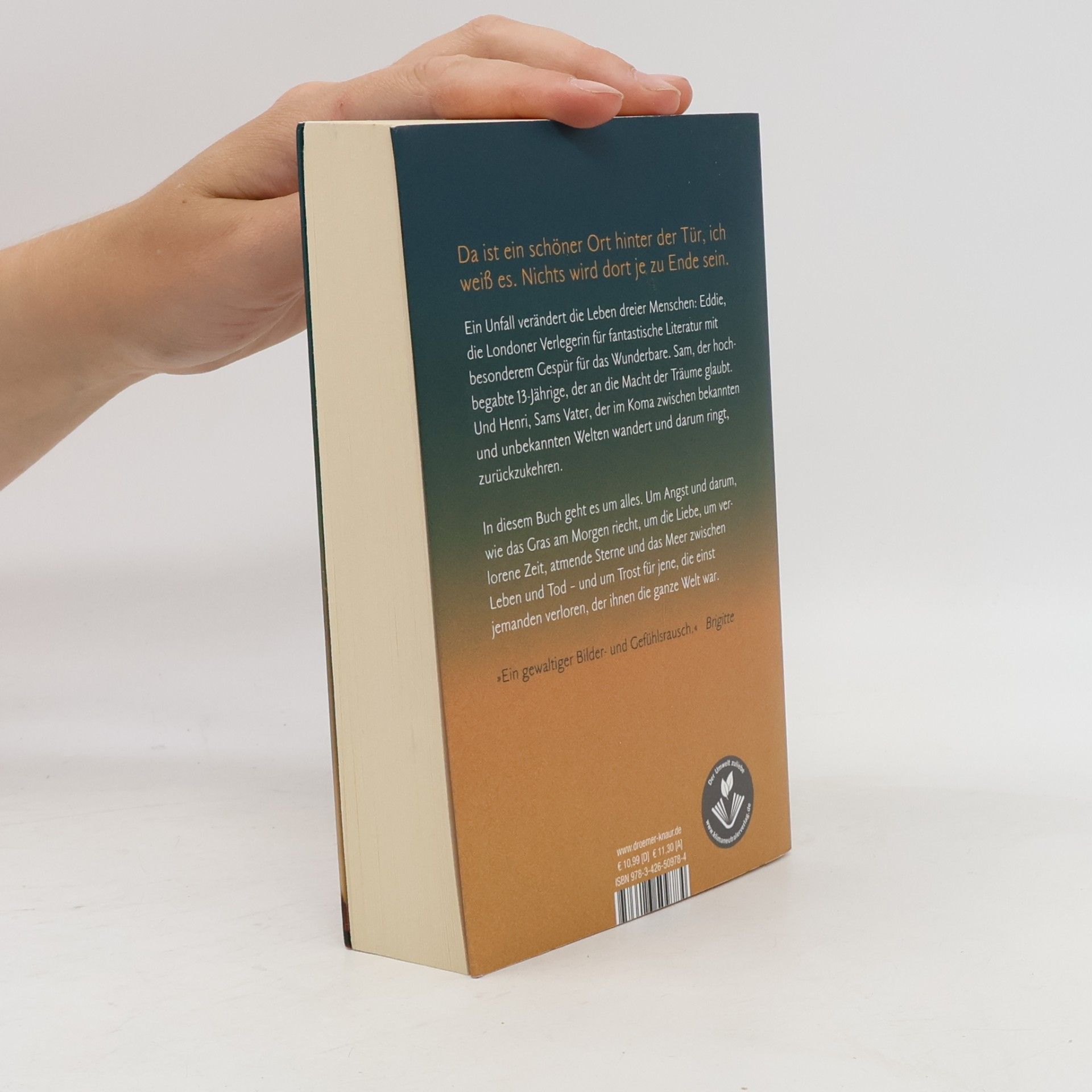 Nina George Das Traumbuch