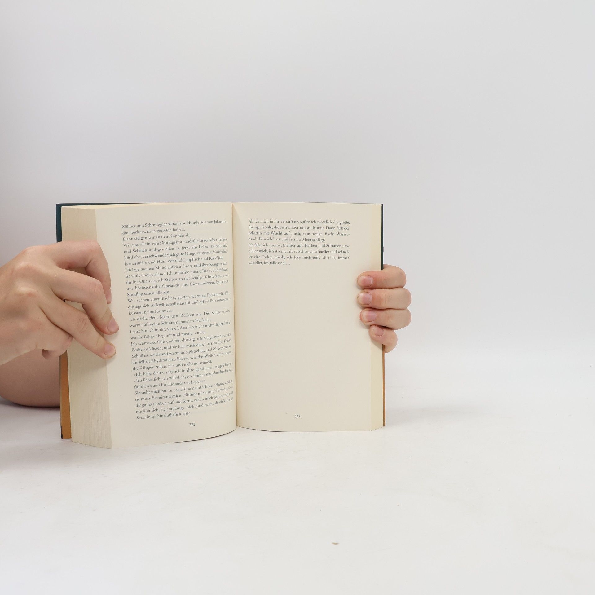 Nina George Das Traumbuch