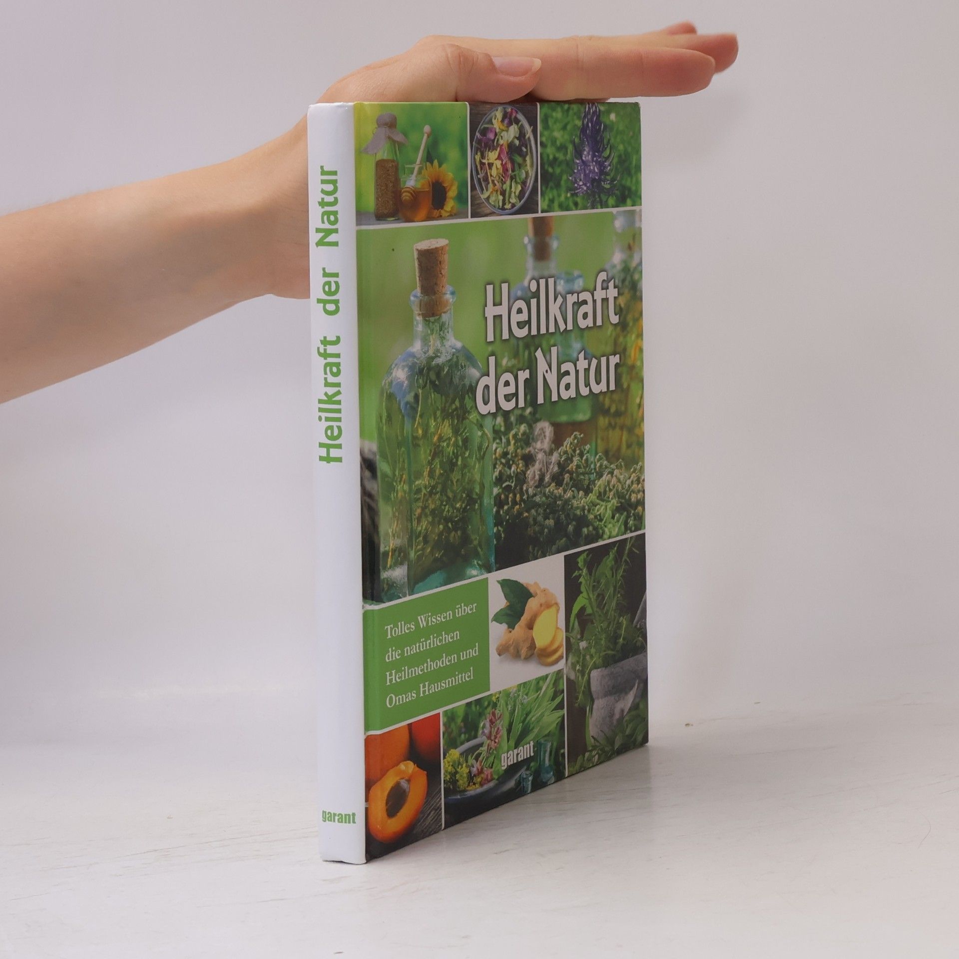 Susanne Lamprecht Heilkraft der Natur