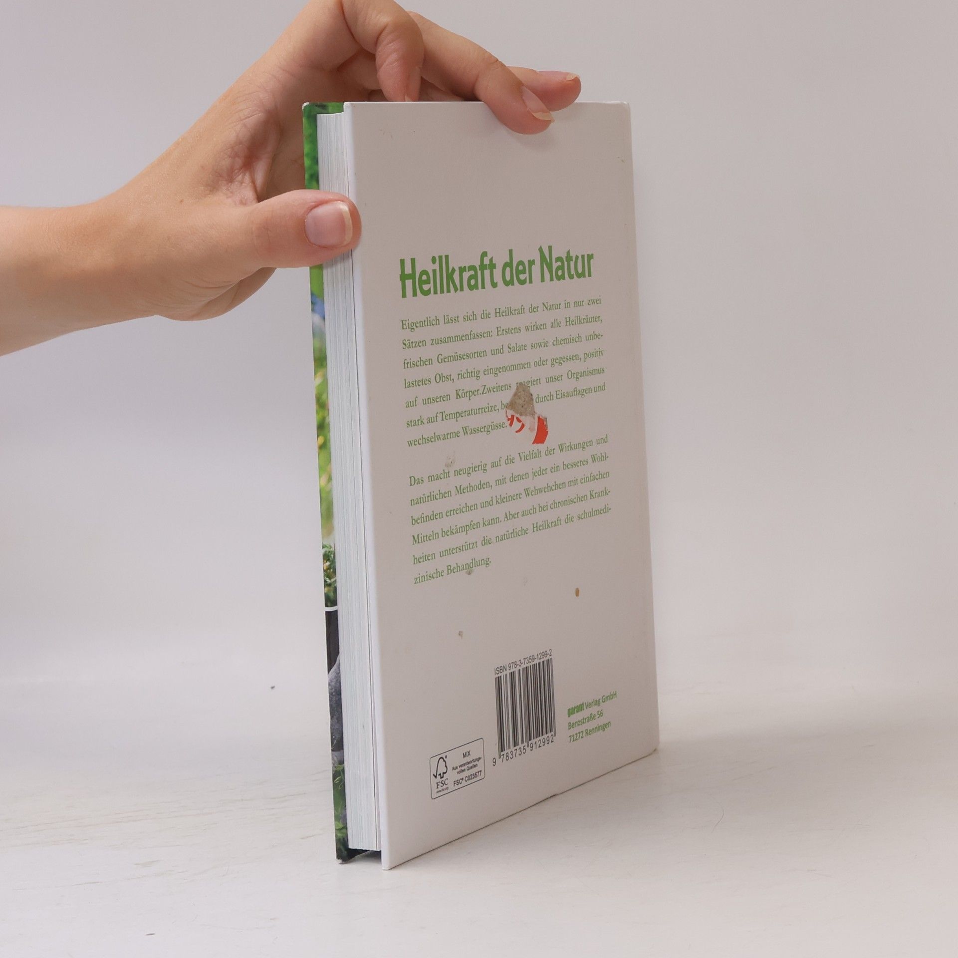 Susanne Lamprecht Heilkraft der Natur