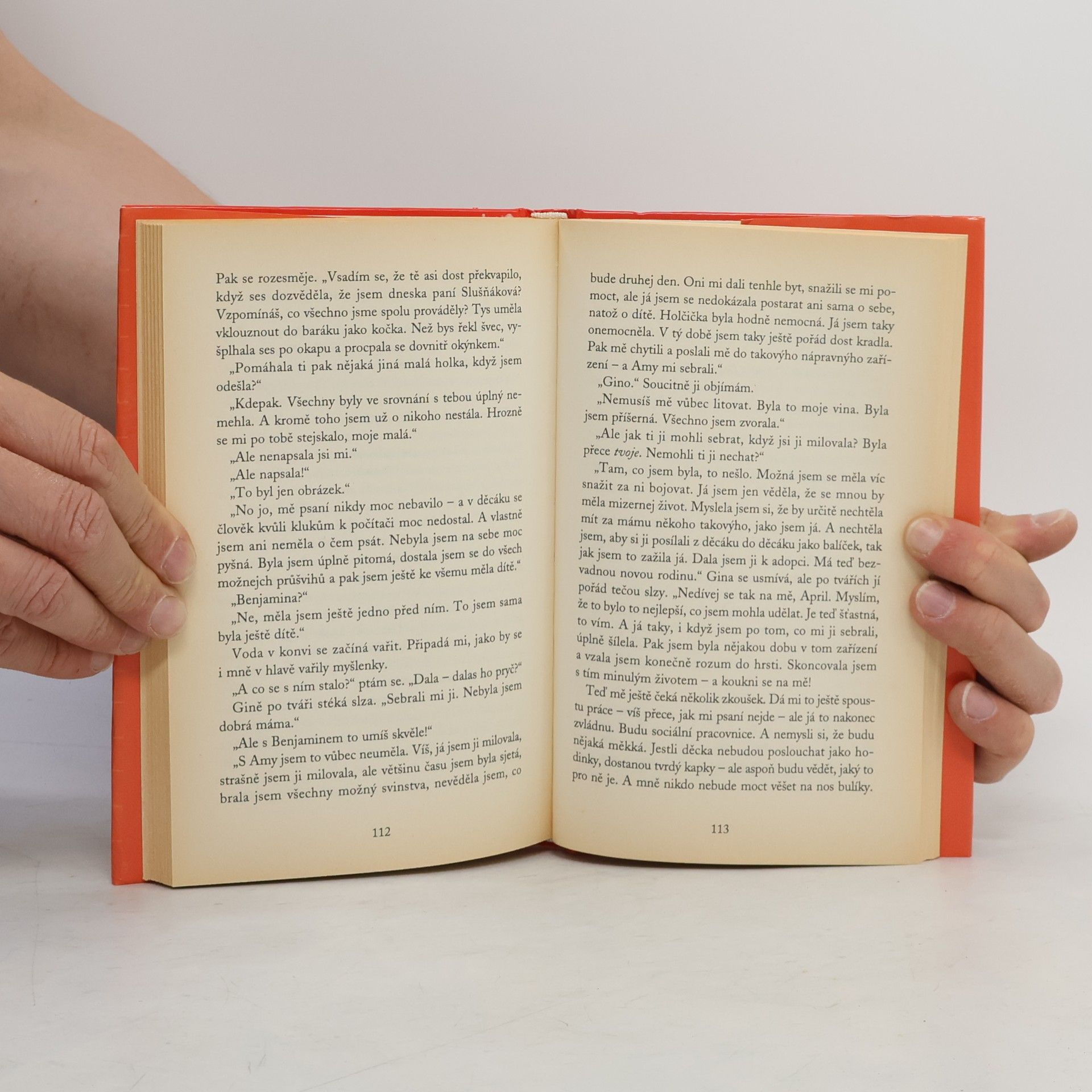 Jacqueline Wilson Holka z popelnice