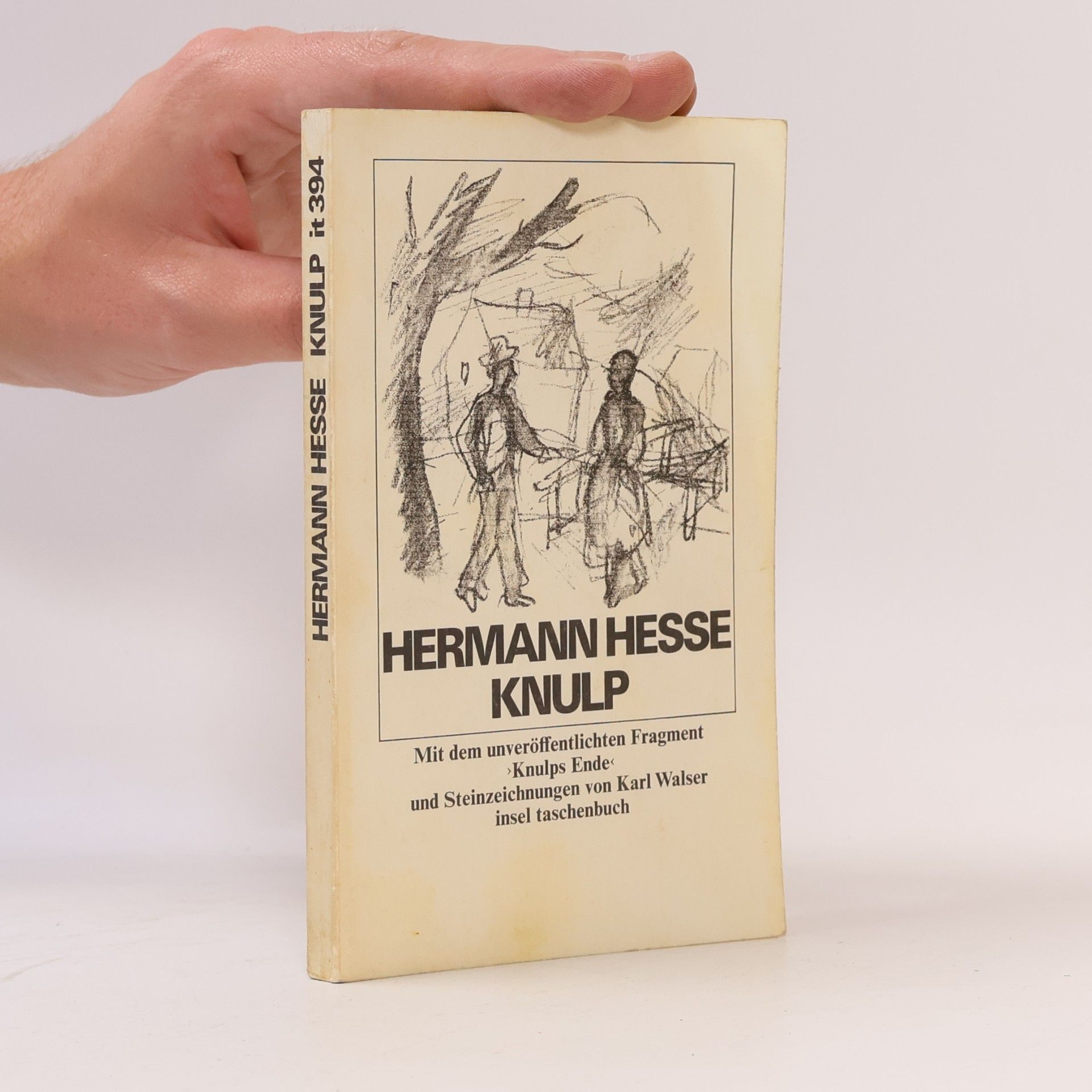 Hermann Hesse Knulp