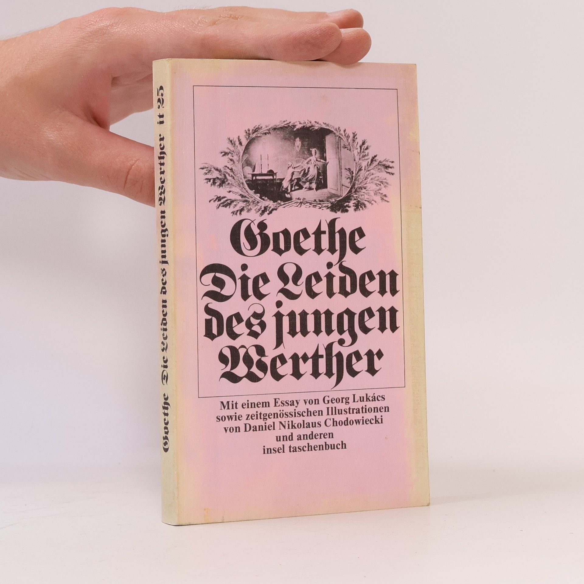 Johann Wolfgang von Goethe Die Leiden des jungen Werther