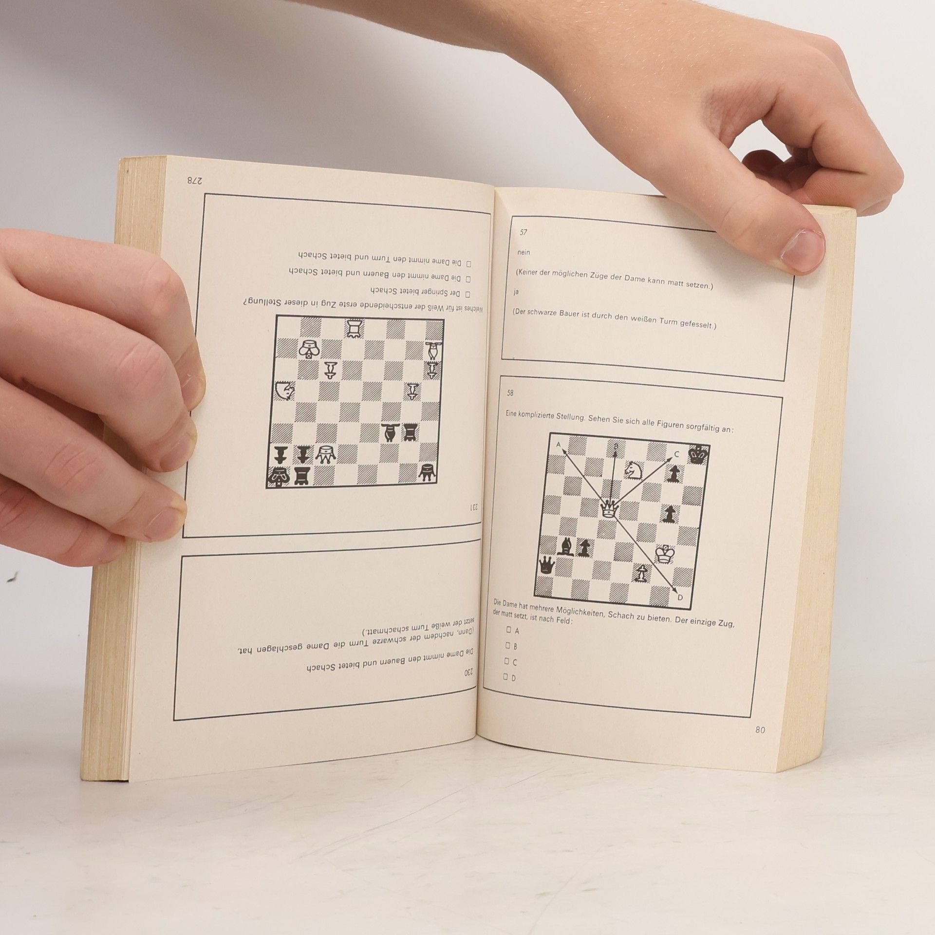 Bobby Fischer Bobby Fischer lehrt Schach
