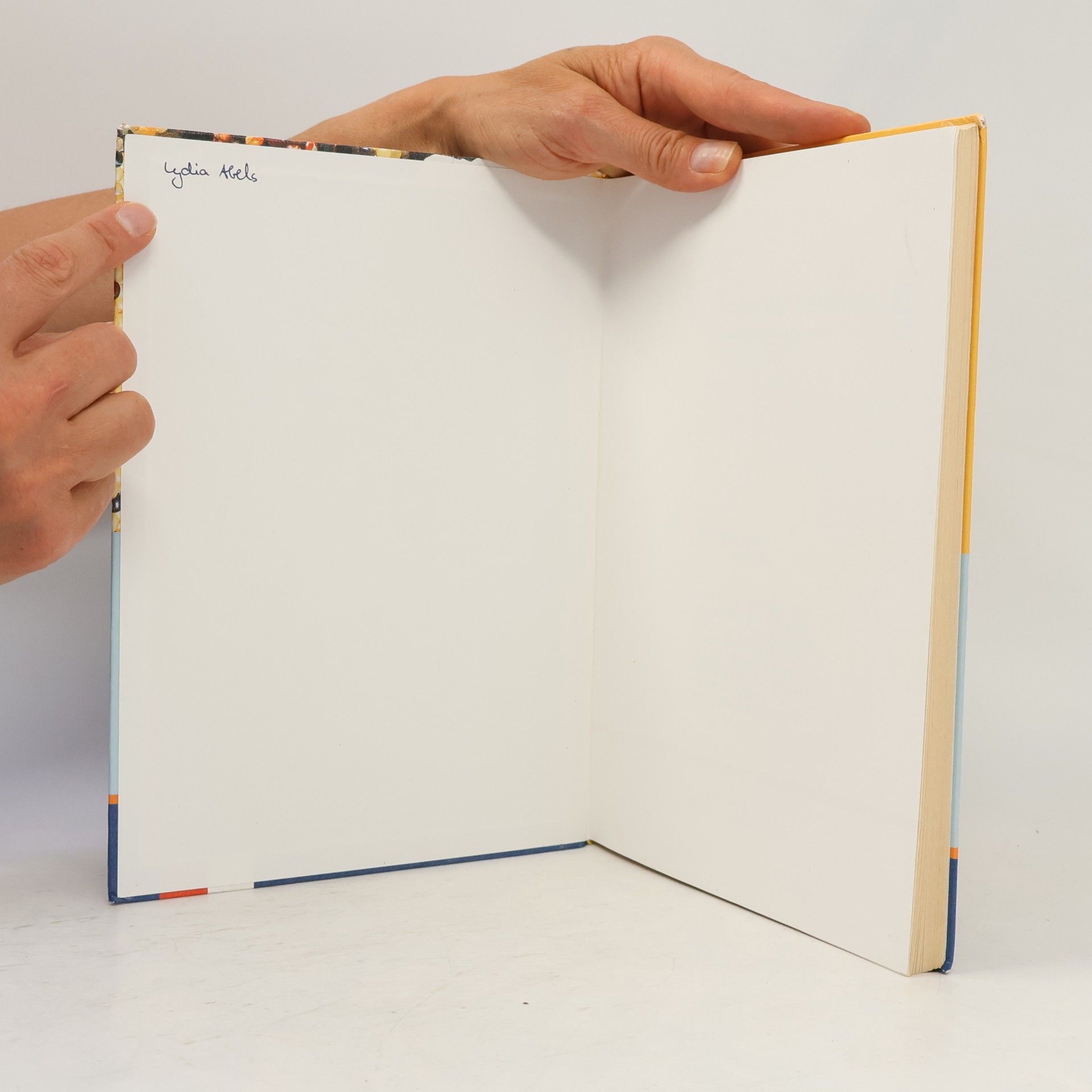 Lambacher Schweizer - Mathematik für Gymnasien