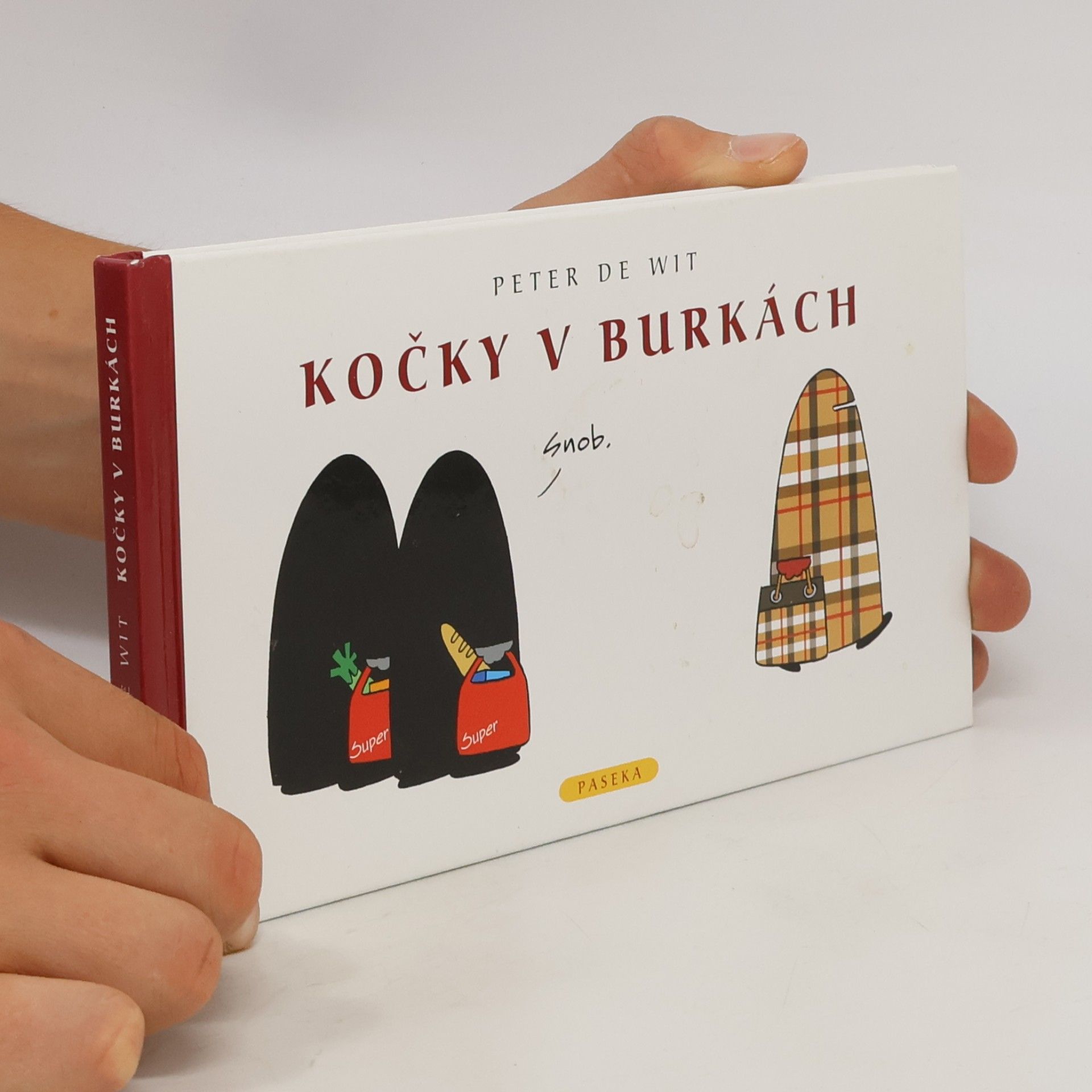 Peter de Wit Kočky v burkách