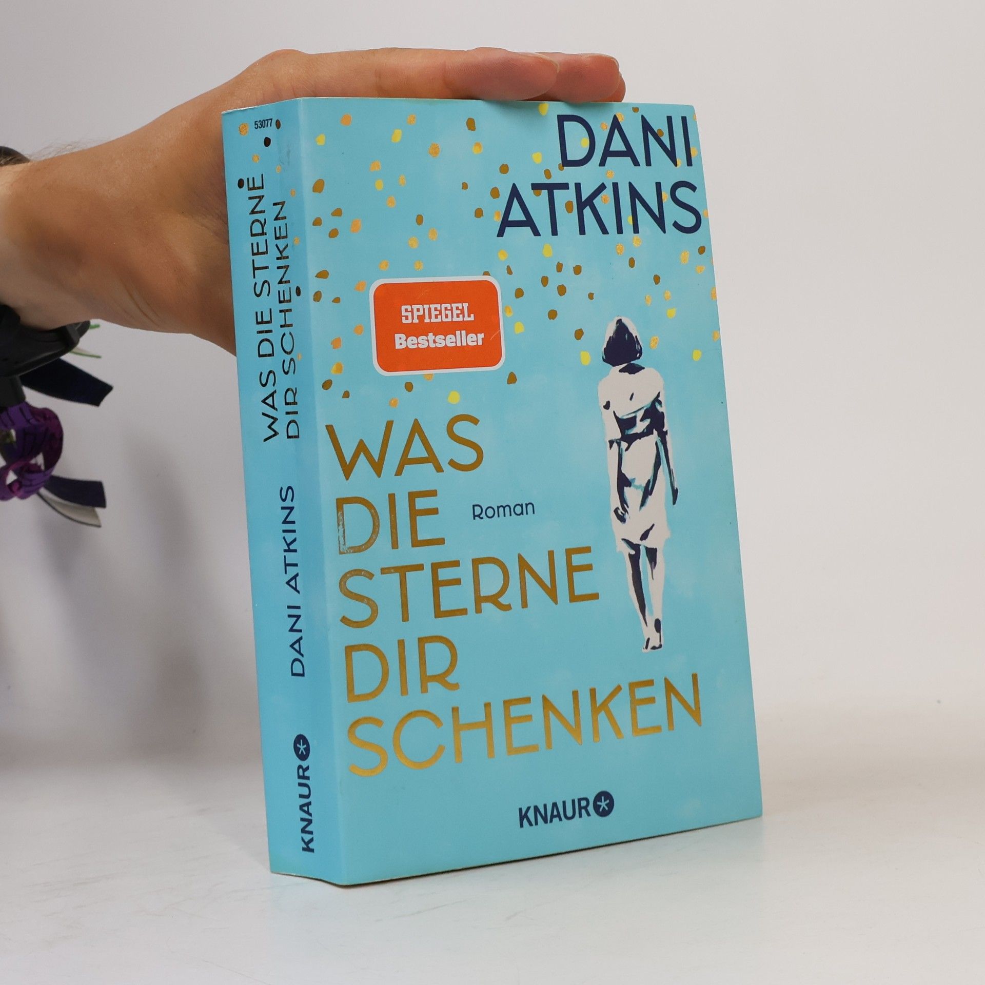 Dani Atkins Was die Sterne dir schenken