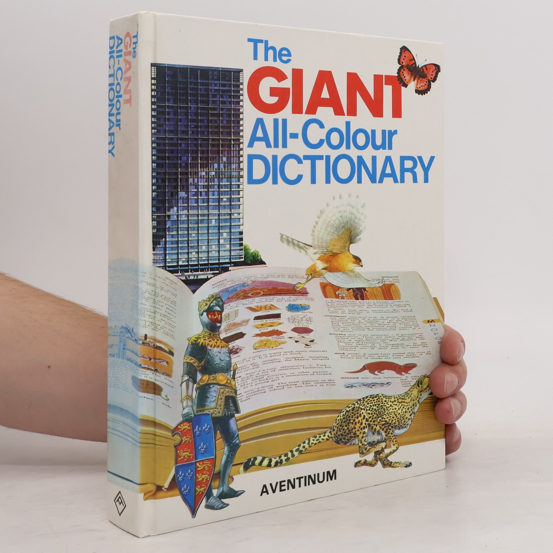 Stuart A. Courtis The Giant All-Colour Dictionary