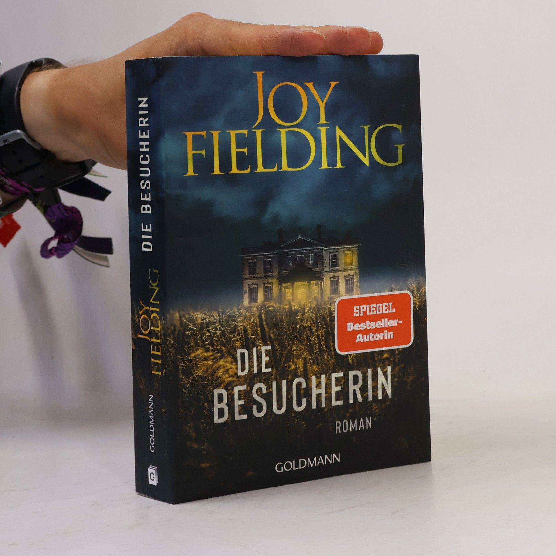 Joy Fielding Die Besucherin
