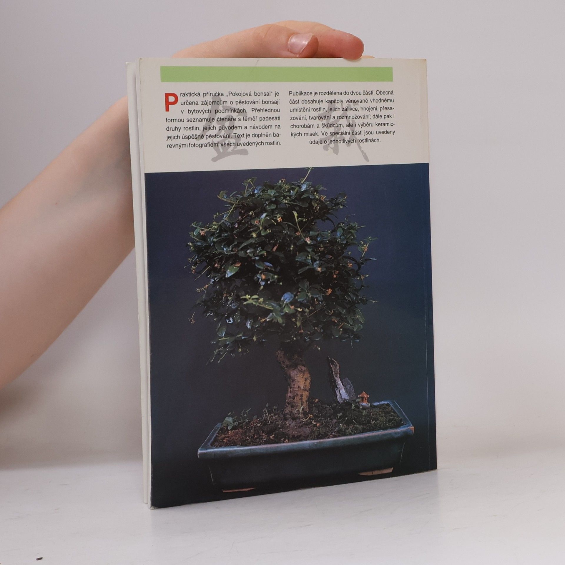 Jindřich Votýpka Pokojová bonsai