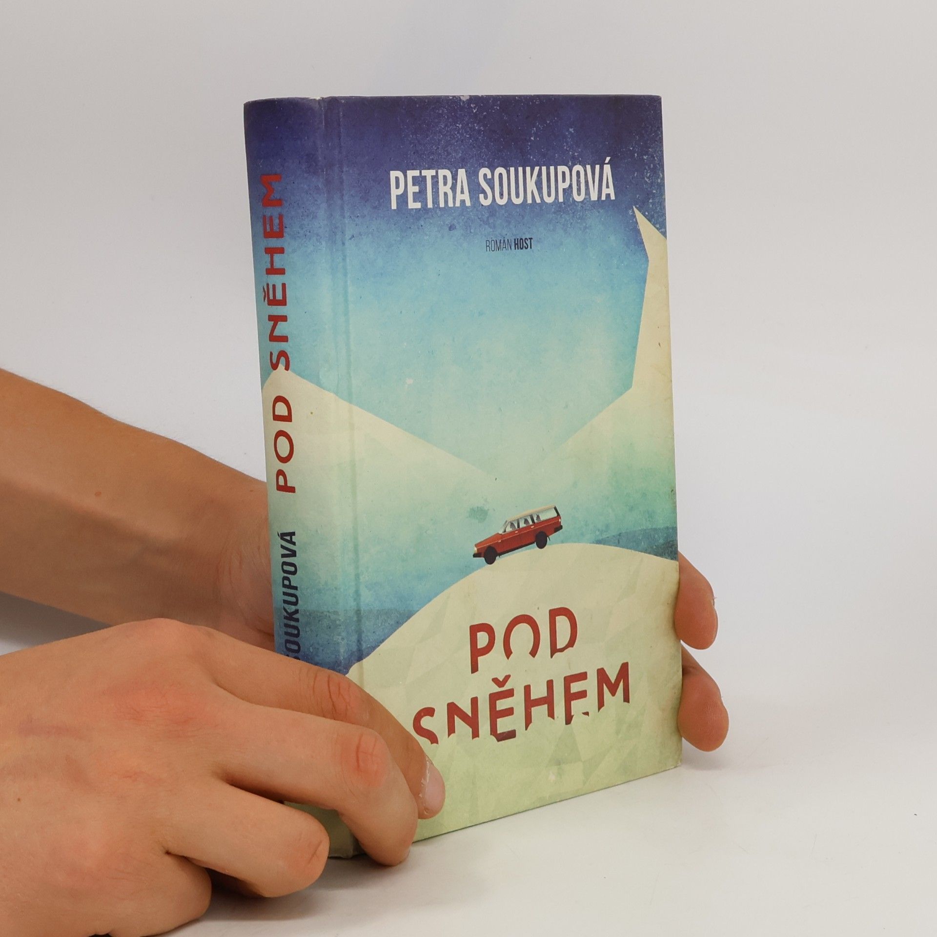 Petra Soukupová Pod sněhem