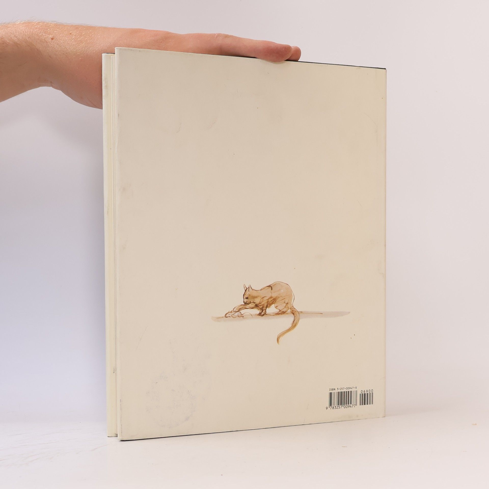Anne Diekmann Das grosse Liederbuch