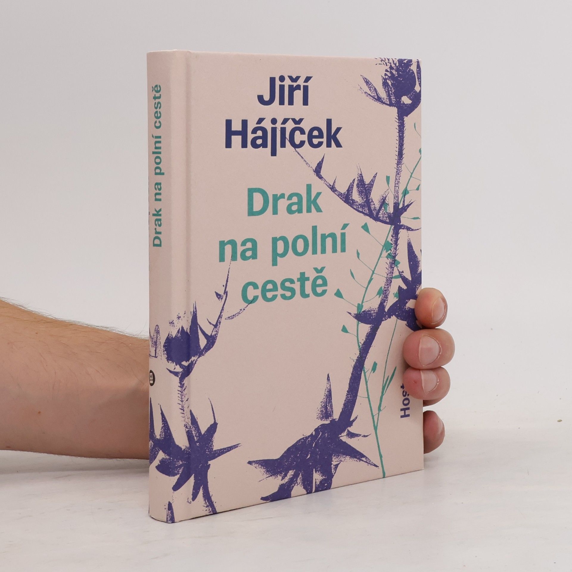 Jiří Hájíček Drak na polní cestě