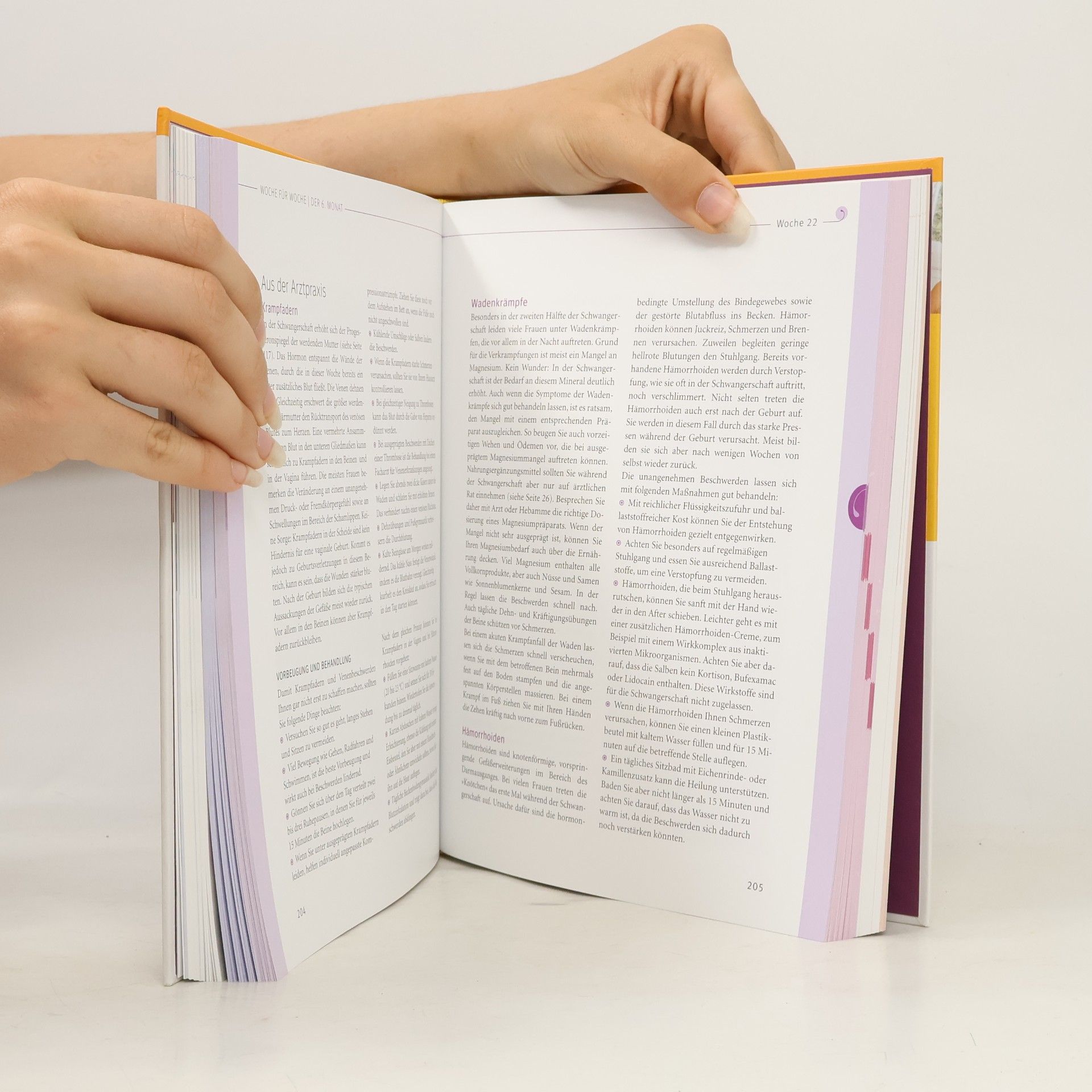 Annette Nolden Das große Buch zur Schwangerschaft