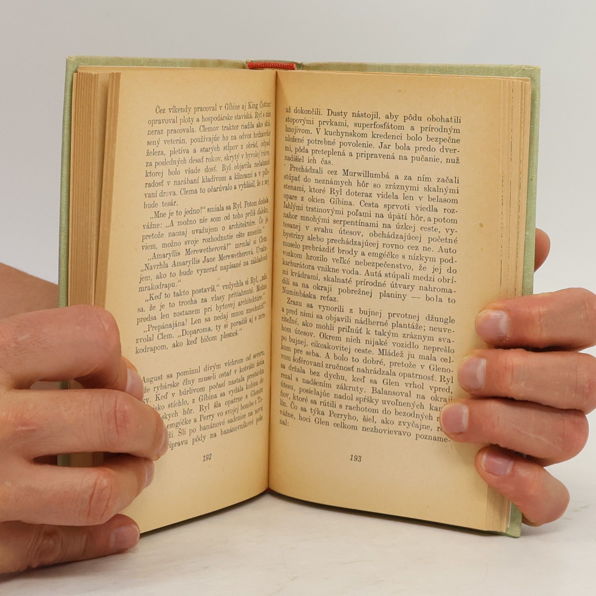 H. F. Hesba Fay Brinsmead Pastviny modrého žeriava