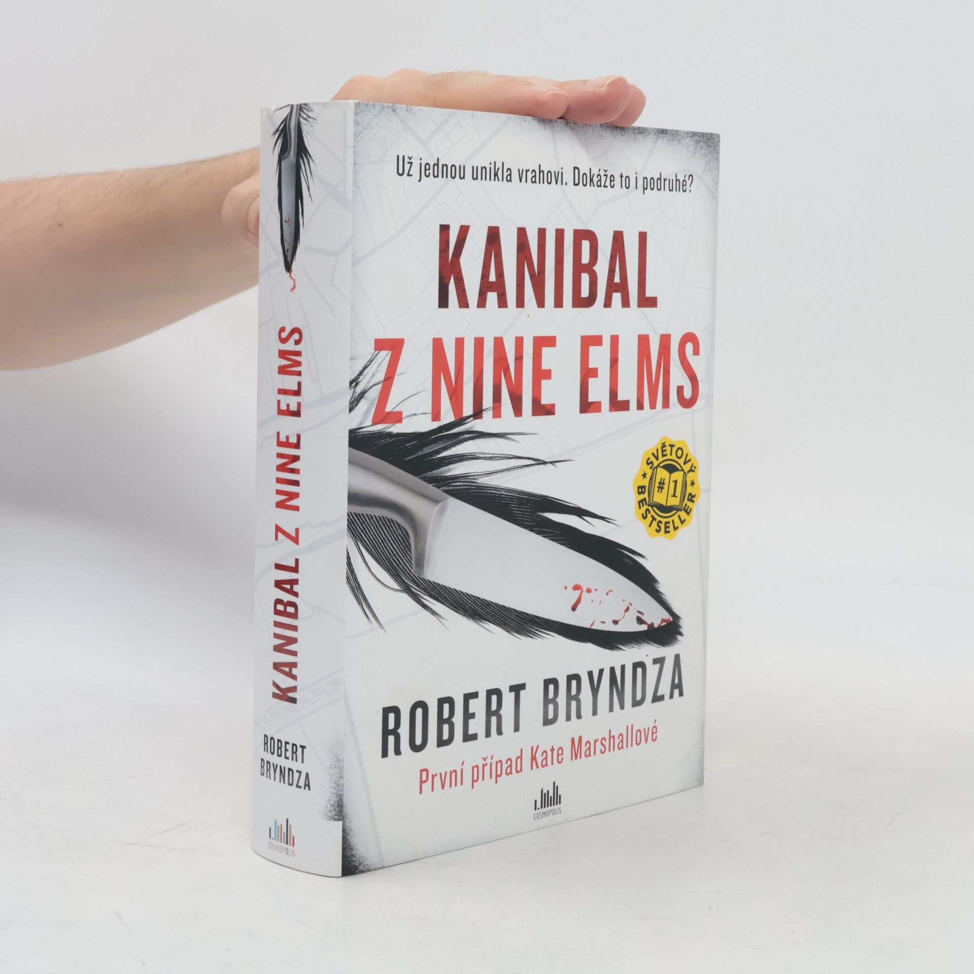 Robert Bryndza Kanibal z Nine Elms