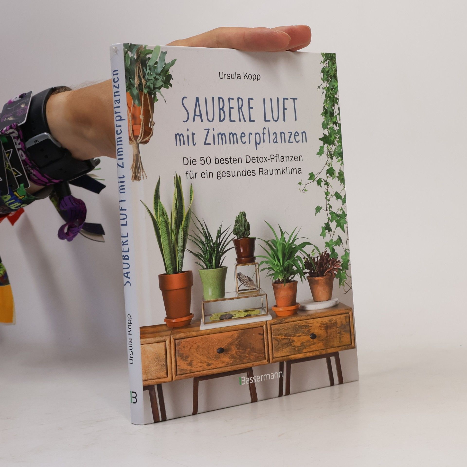 Ursula Kopp Saubere Luft mit Zimmerpflanzen