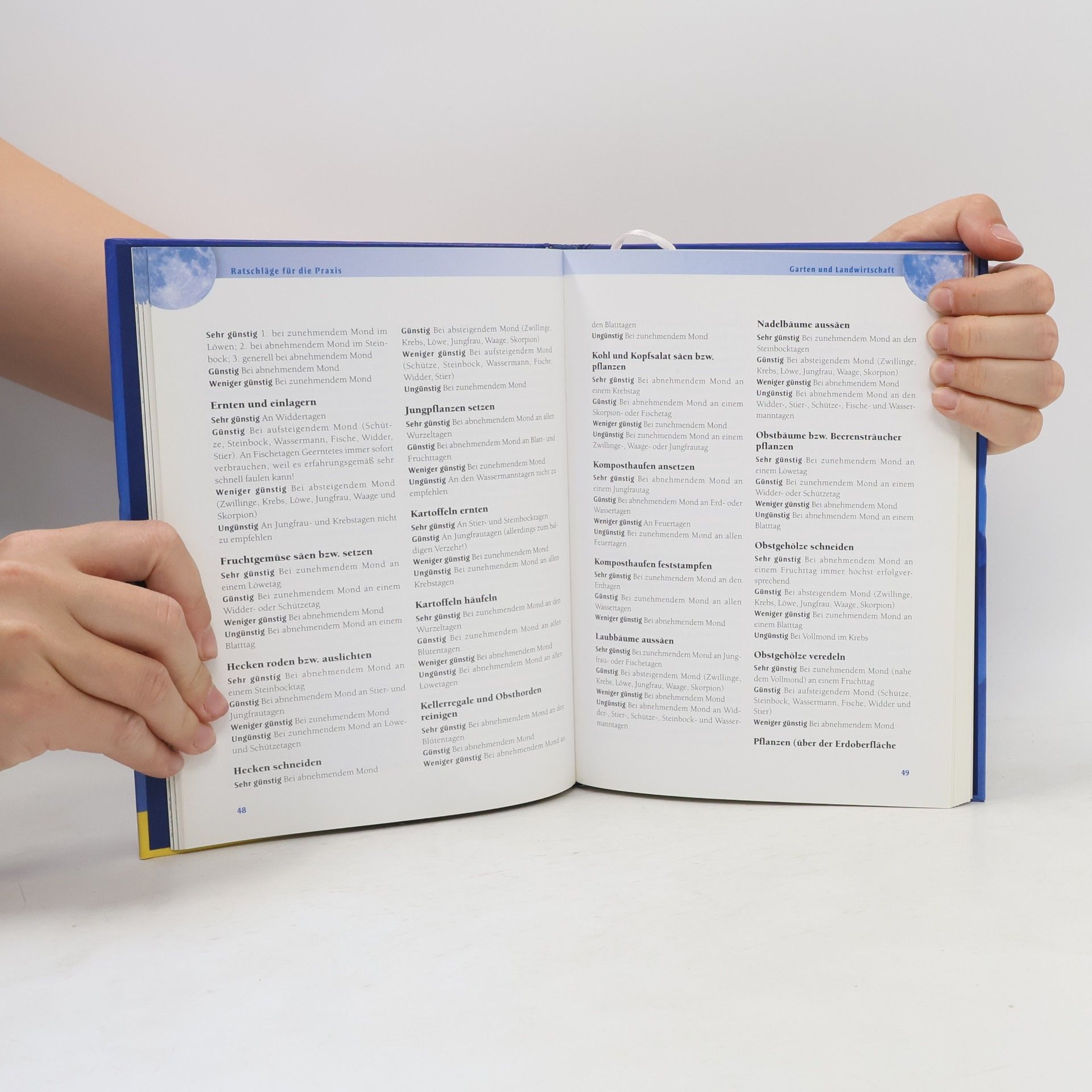 Helga Föger Das Mond-Praxisbuch