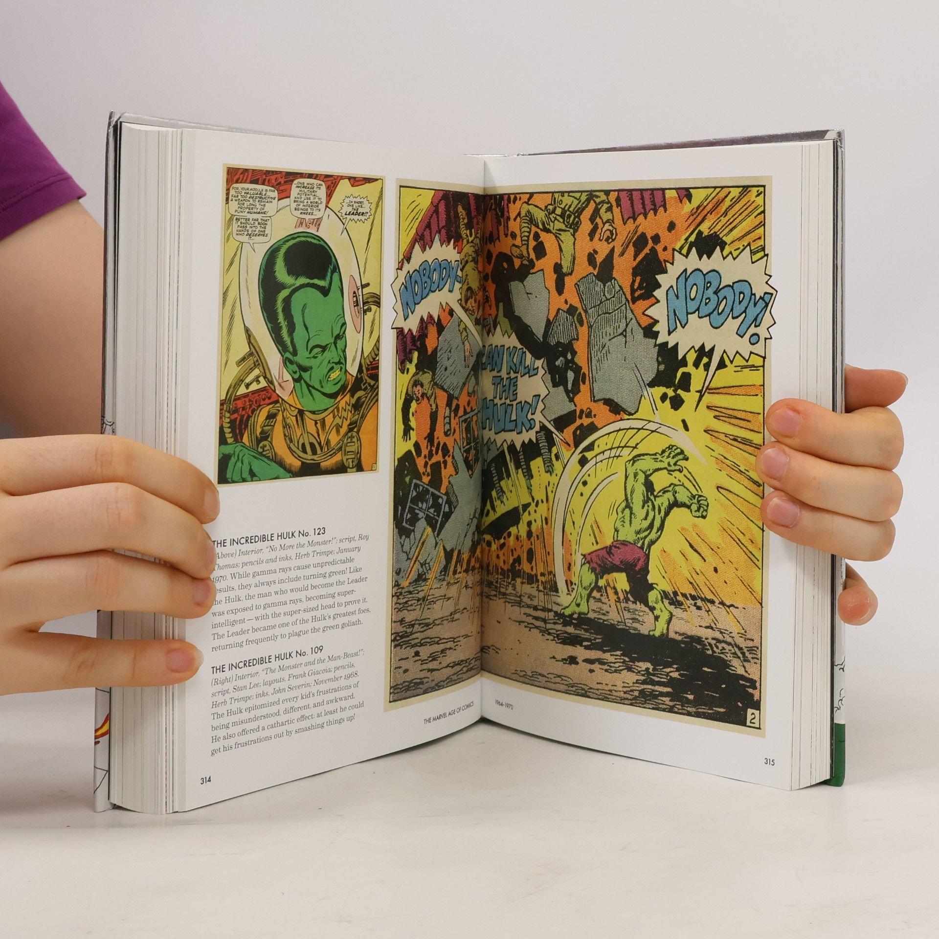 Roy Thomas The Marvel Age of Comics 1961-1978 - 40th Anniversary Edition