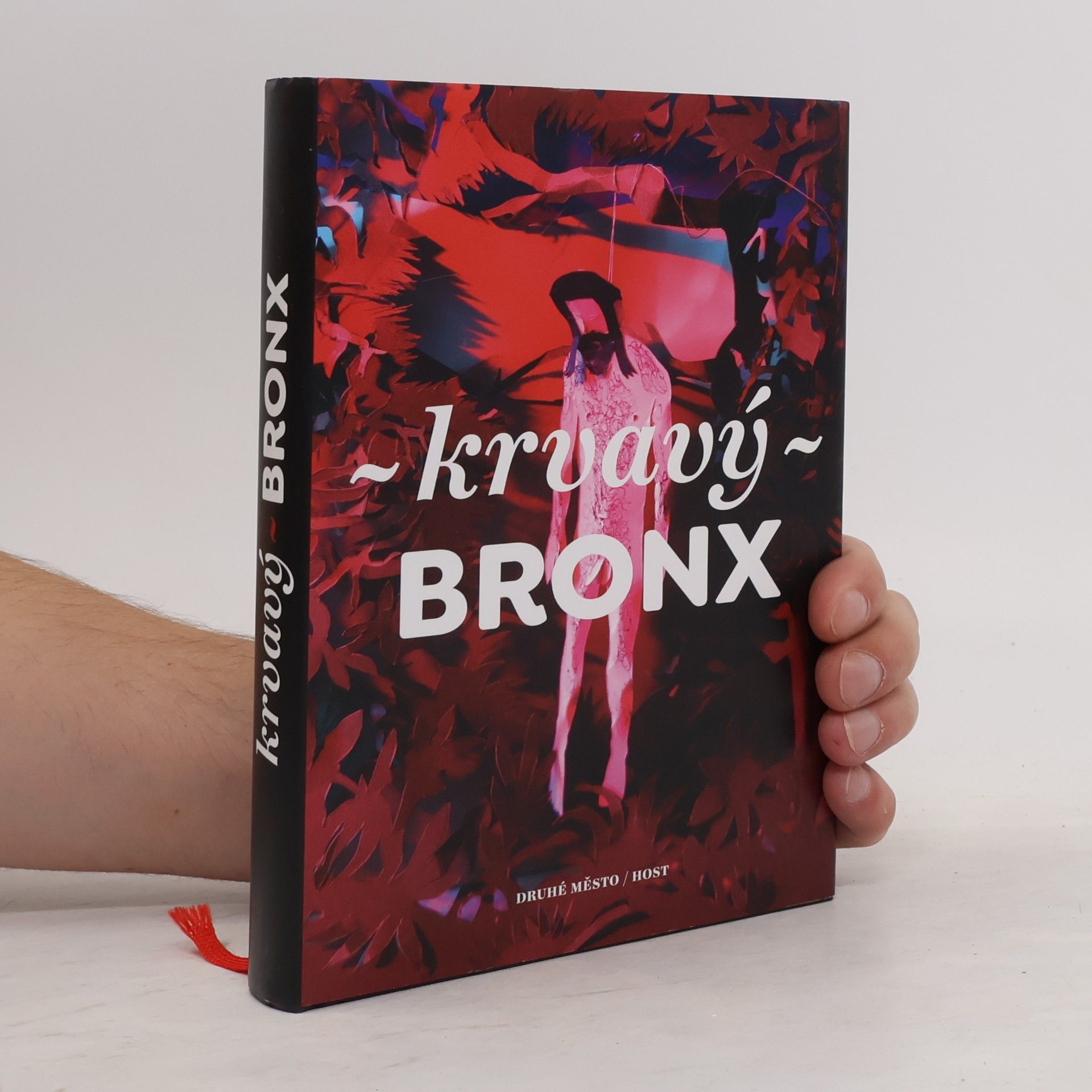 Kolektiv autorů Krvavý Bronx