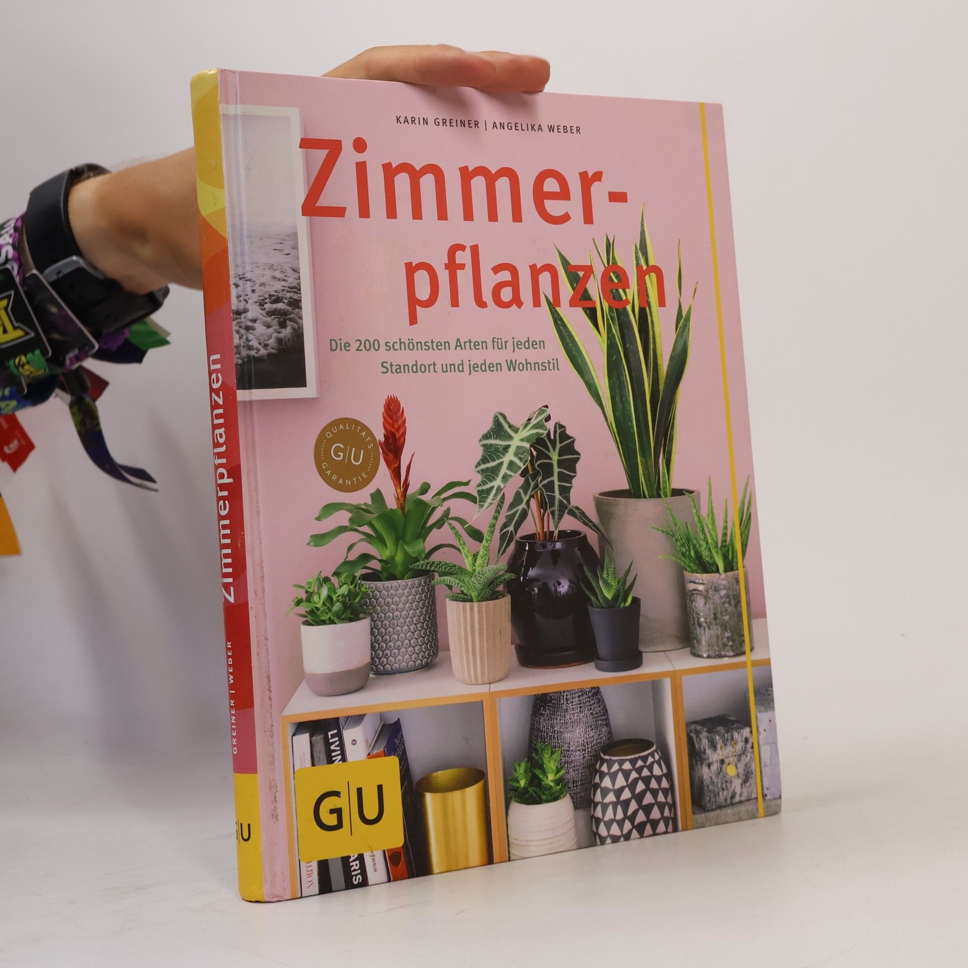 Karin Greiner Zimmerpflanzen