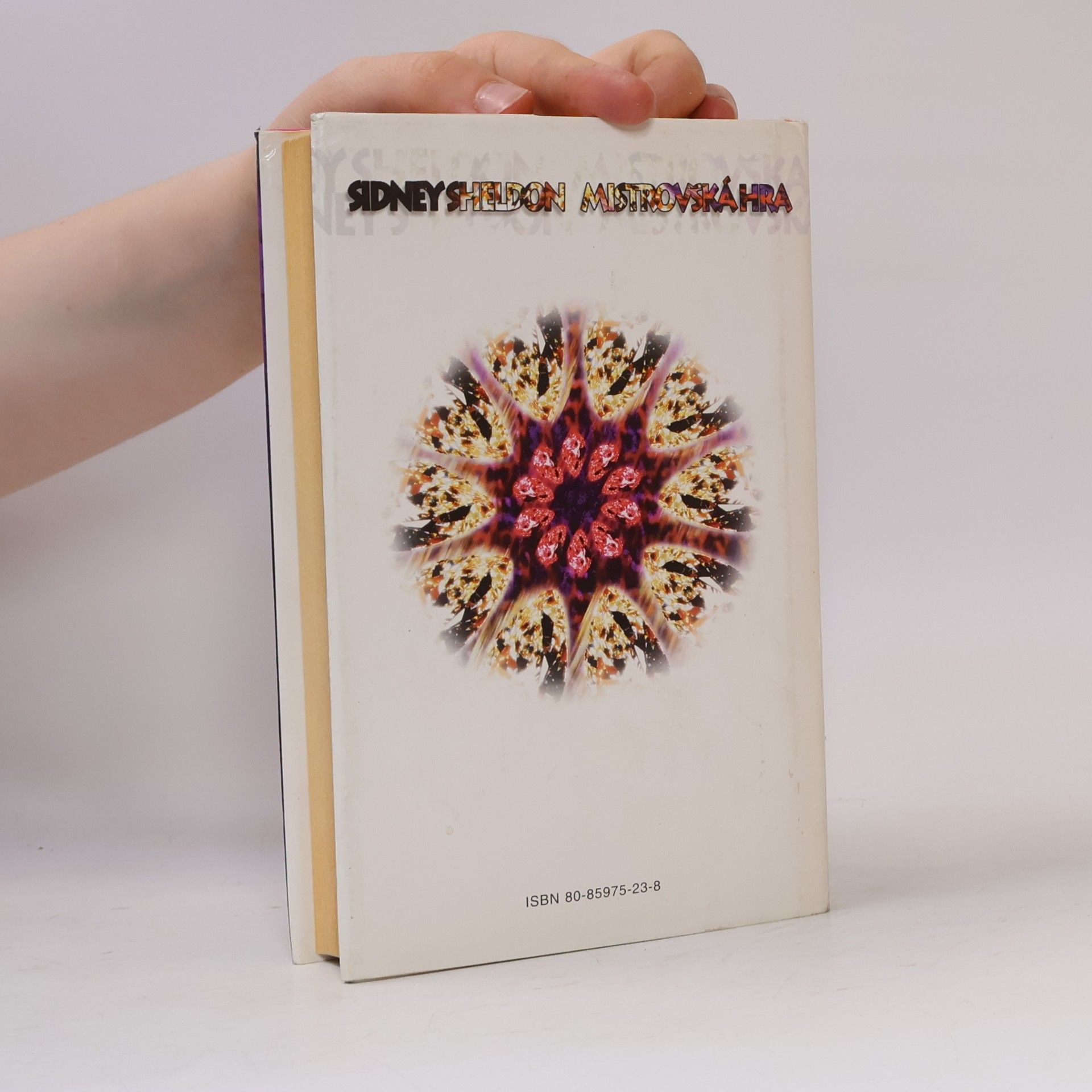 Sidney Sheldon Mistrovská hra