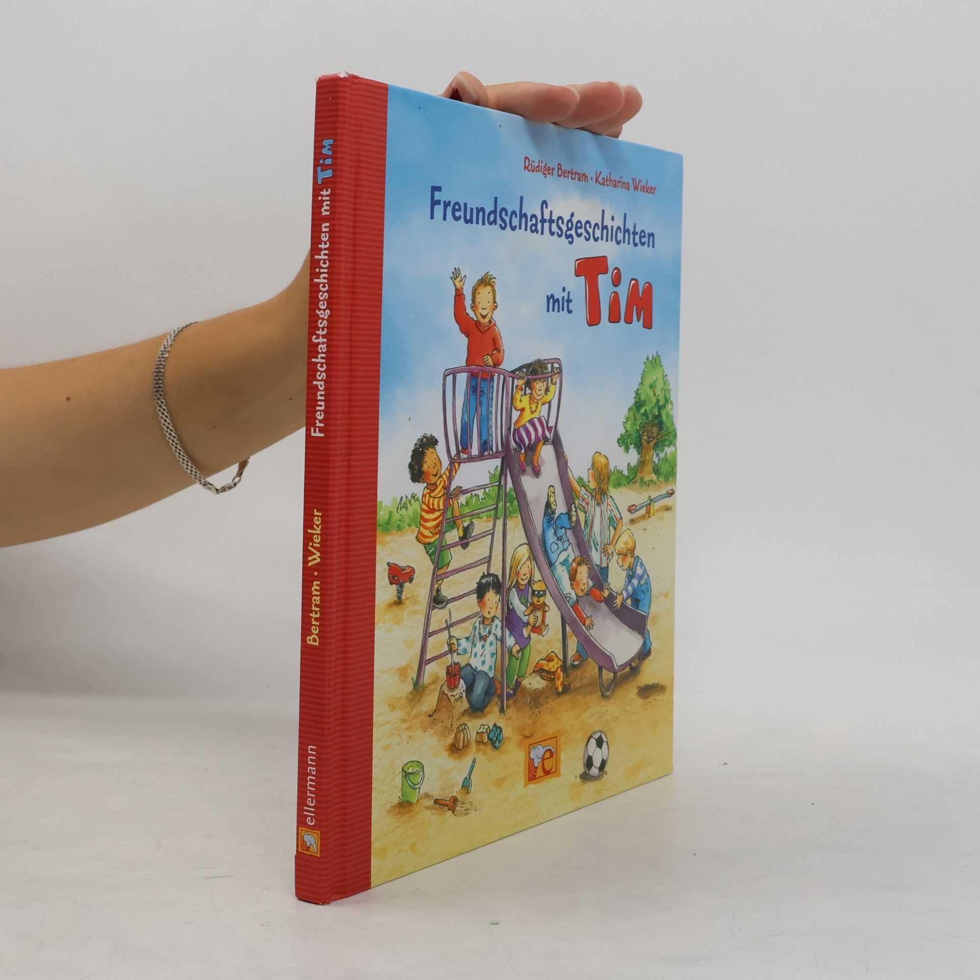 Rüdiger Bertram Freundschaftsgeschichten mit Tim