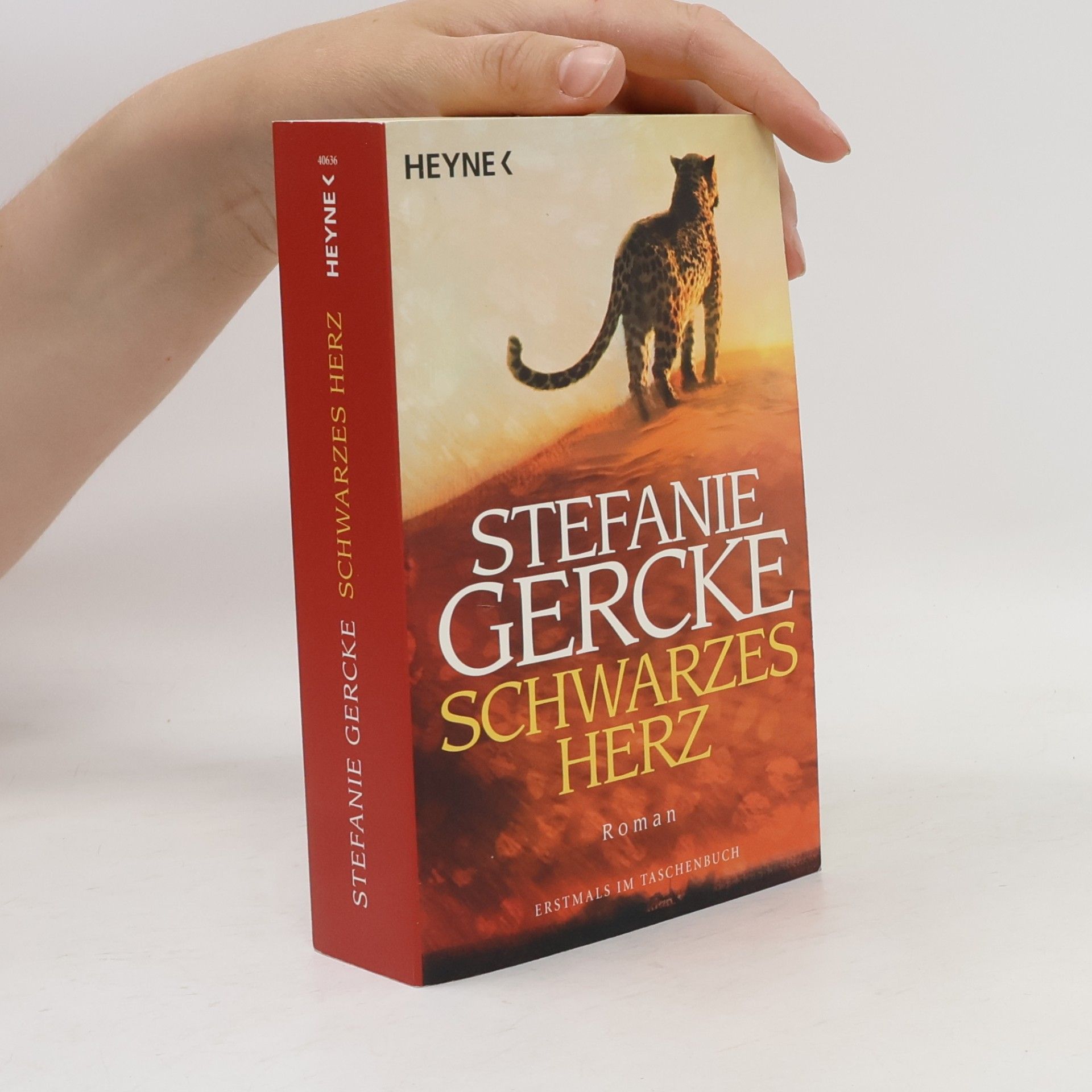 Stefanie Gercke Schwarzes Herz