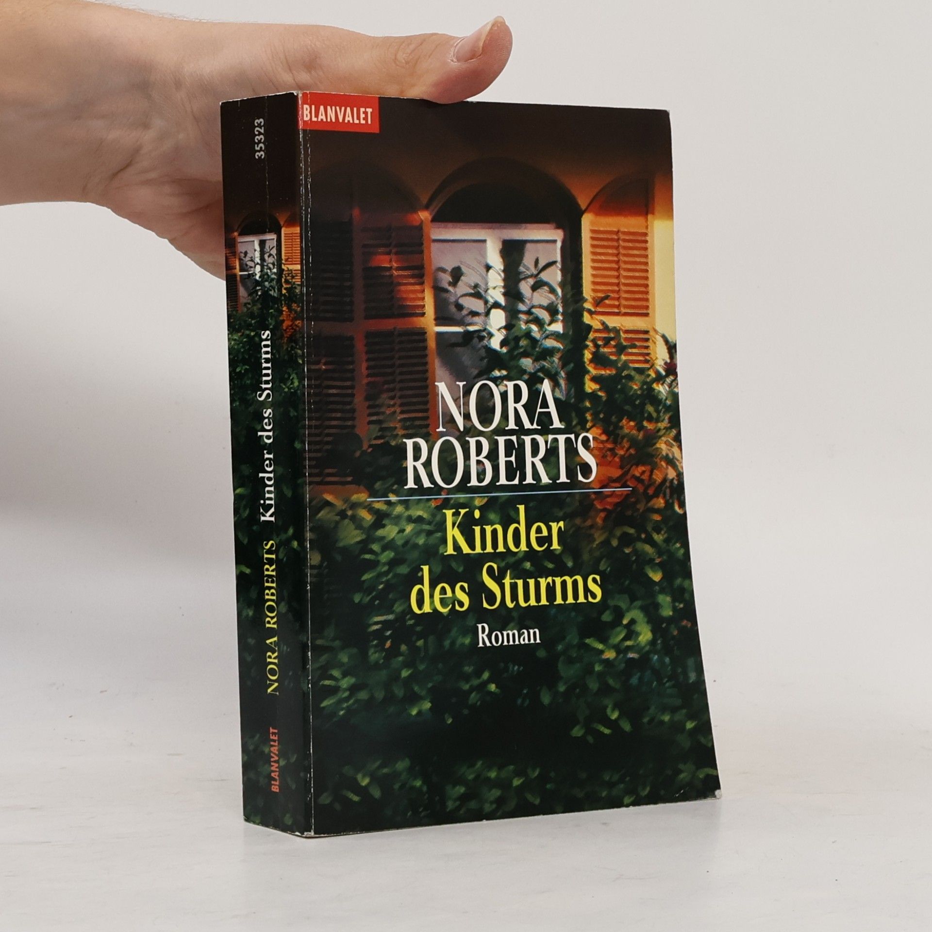 Nora Roberts Kinder des Sturms