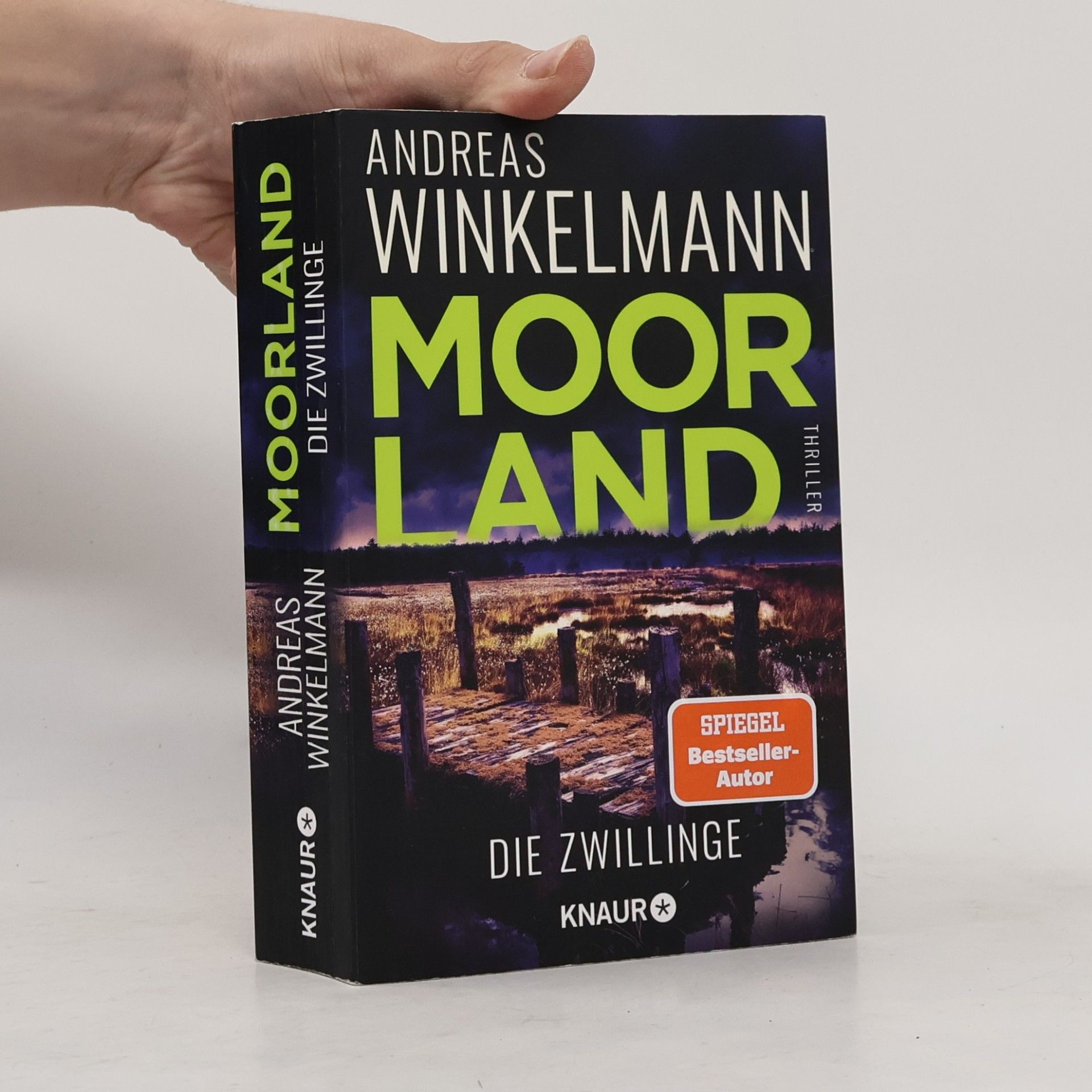 Hendrik Winter Moorland. Die Zwillinge