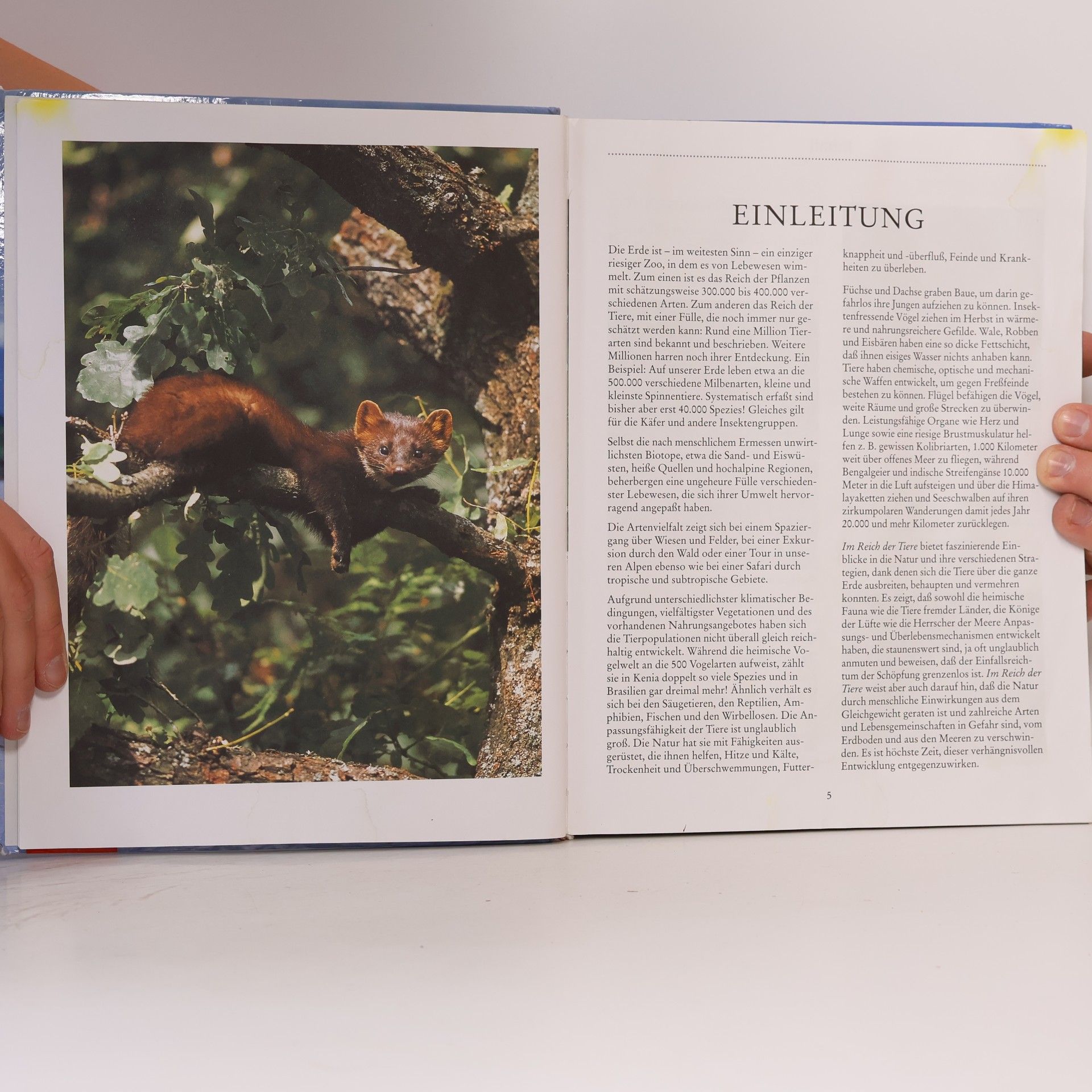 Ursula Dolder Im Reich der Tiere