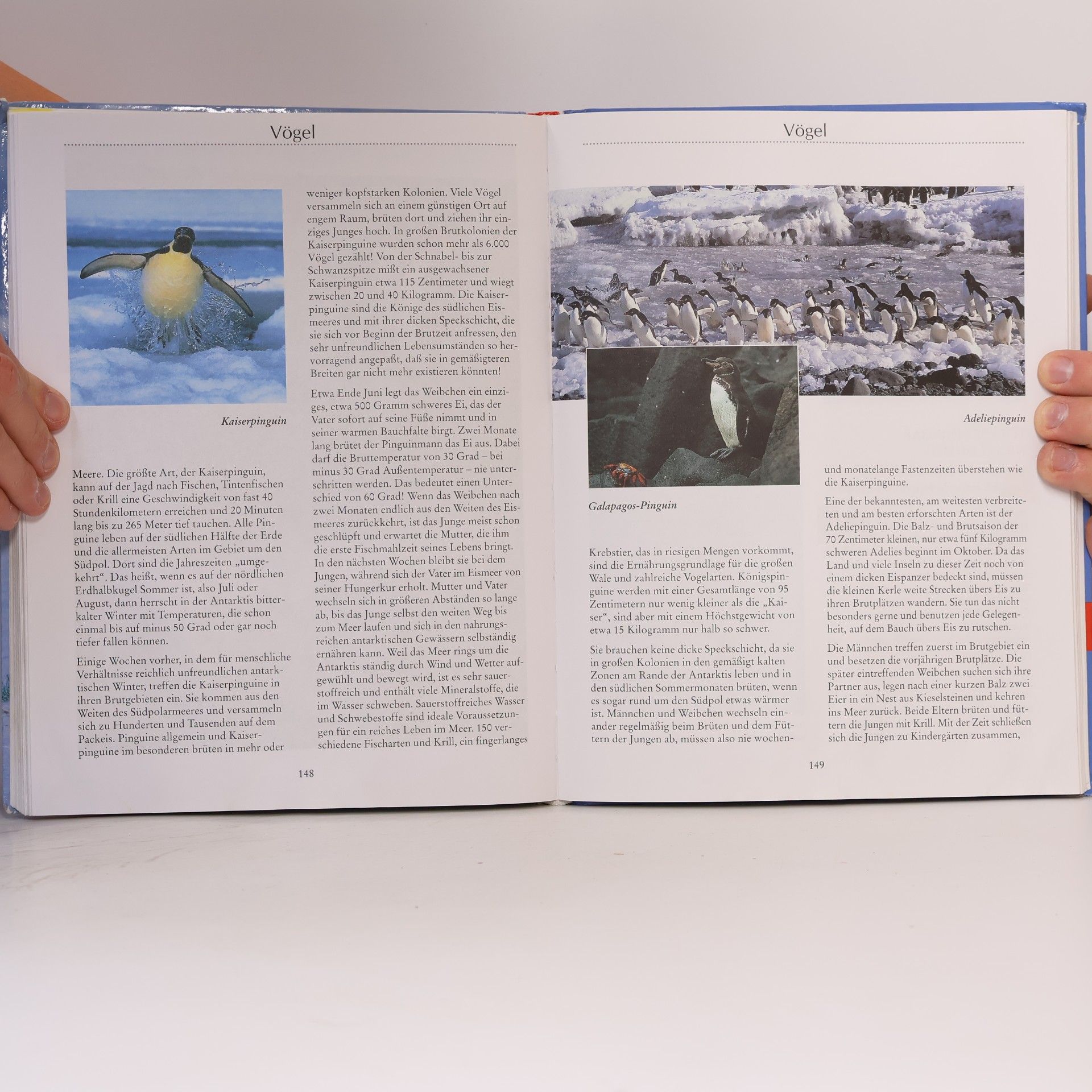 Ursula Dolder Im Reich der Tiere