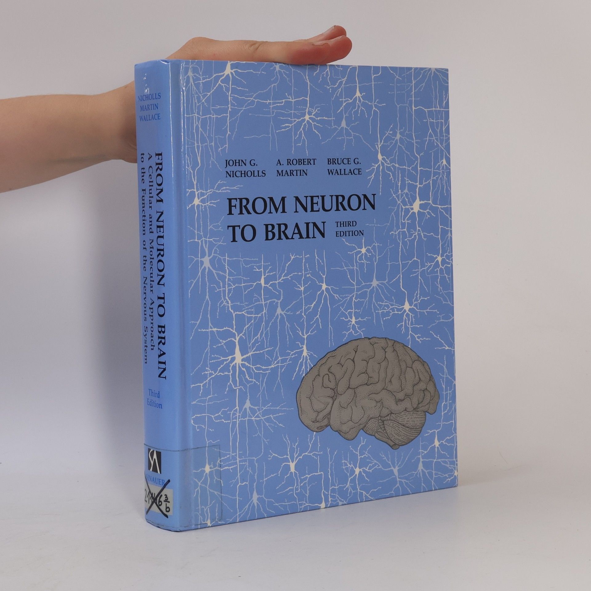 Bruce G Wallace From Neuron to Brain. A Cellular and Molecular Approach to the Function of the Nervous System